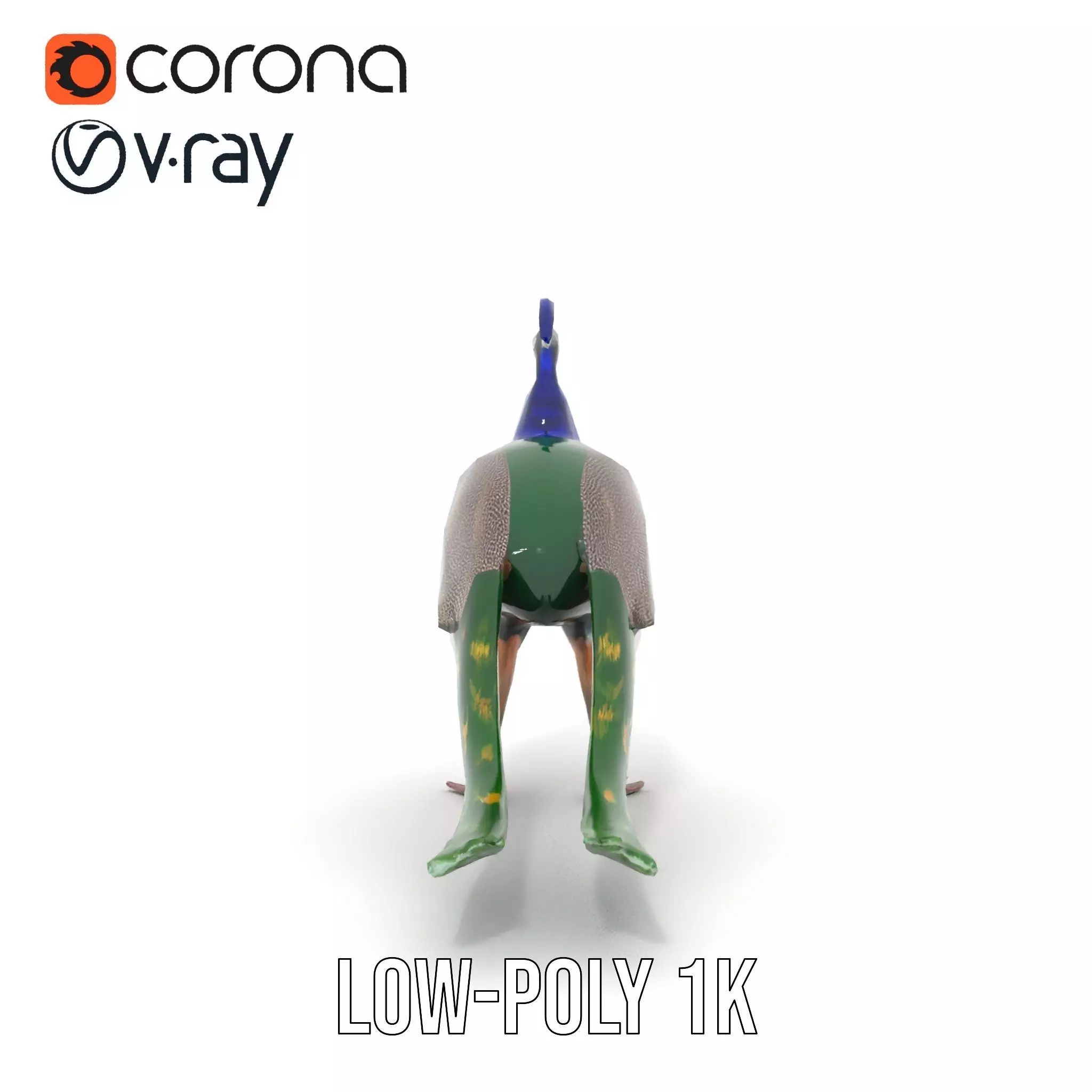 Vibrant Peacock Elegance model pack Low-poly 3D model_25