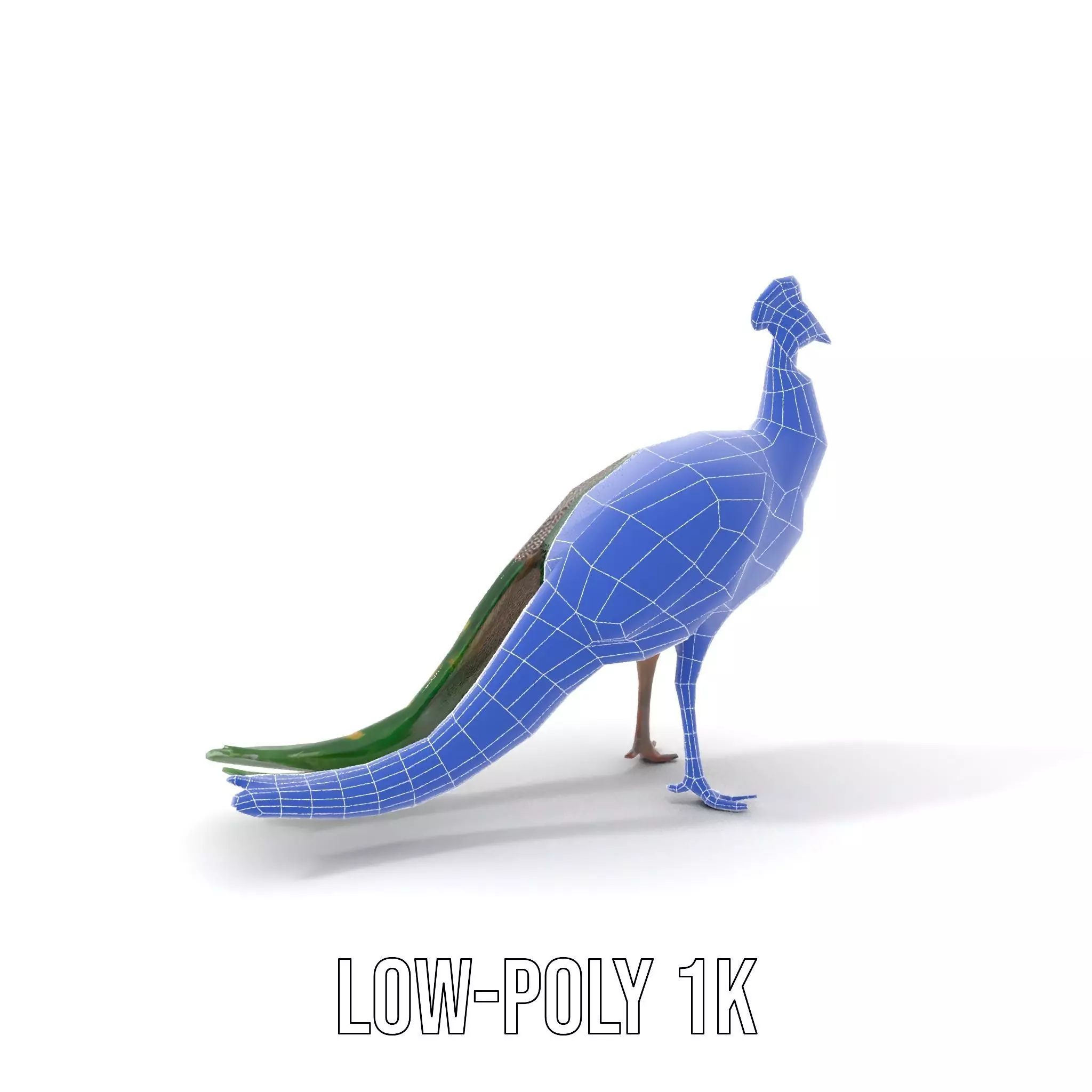 Vibrant Peacock Elegance model pack Low-poly 3D model_17