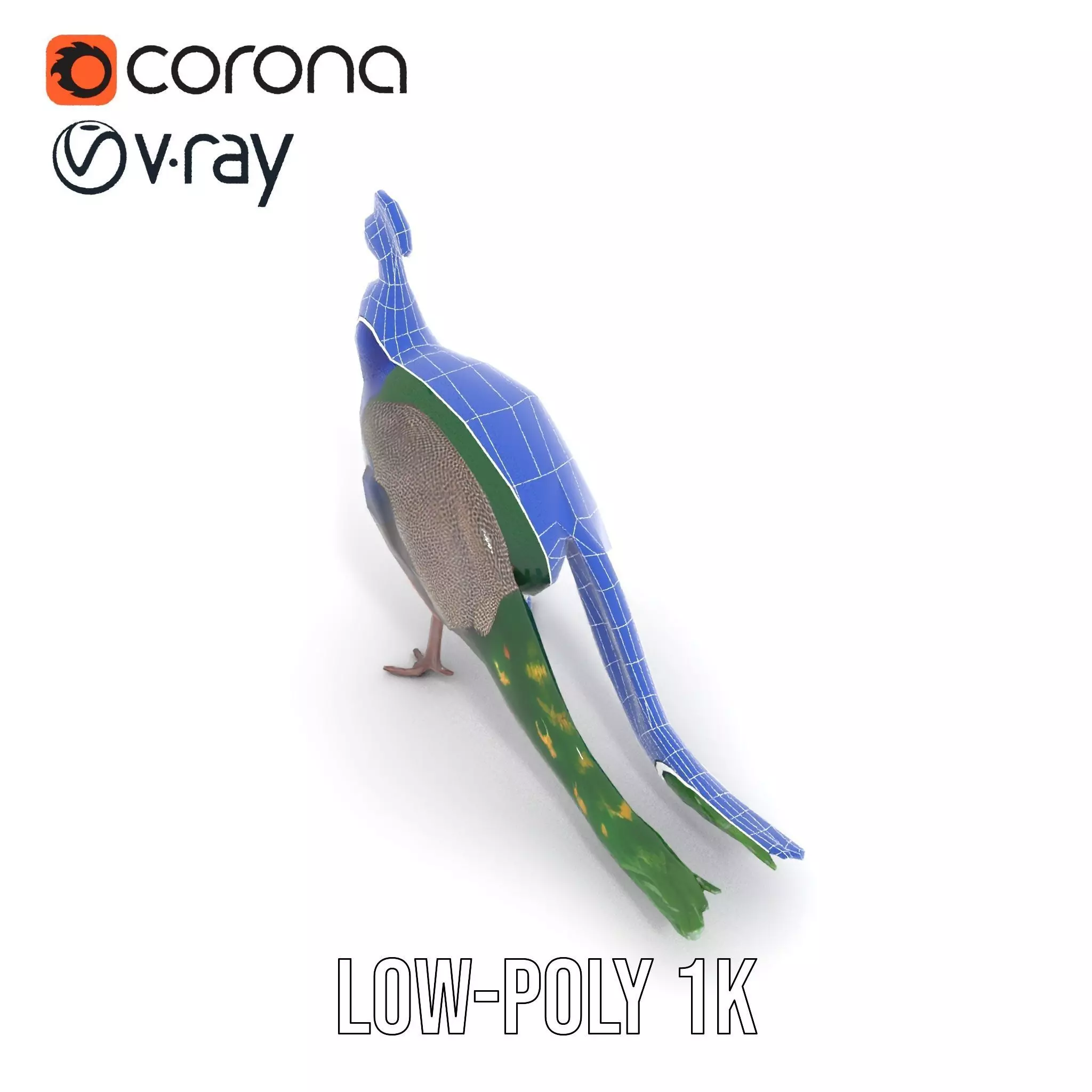Vibrant Peacock Elegance model pack Low-poly 3D model_9