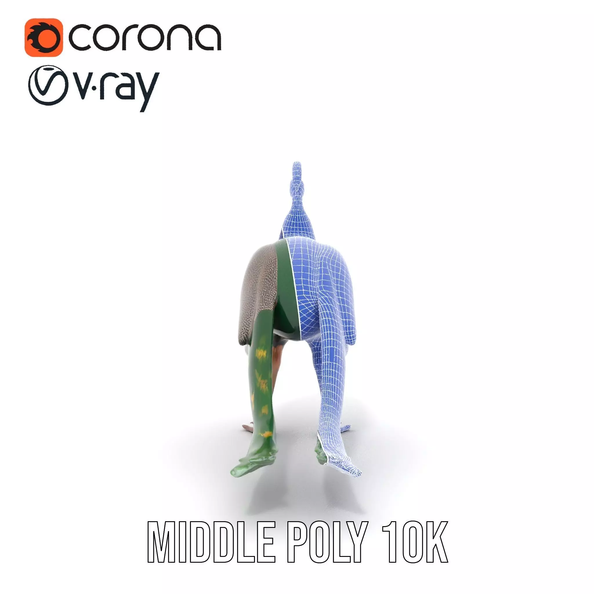 Vibrant Peacock Elegance model pack Low-poly 3D model_29