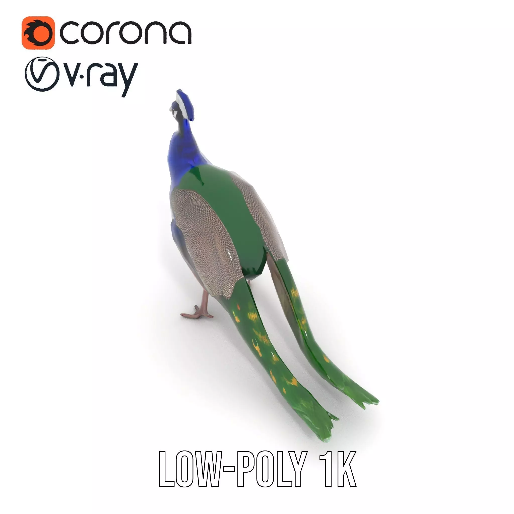 Vibrant Peacock Elegance model pack Low-poly 3D model_19