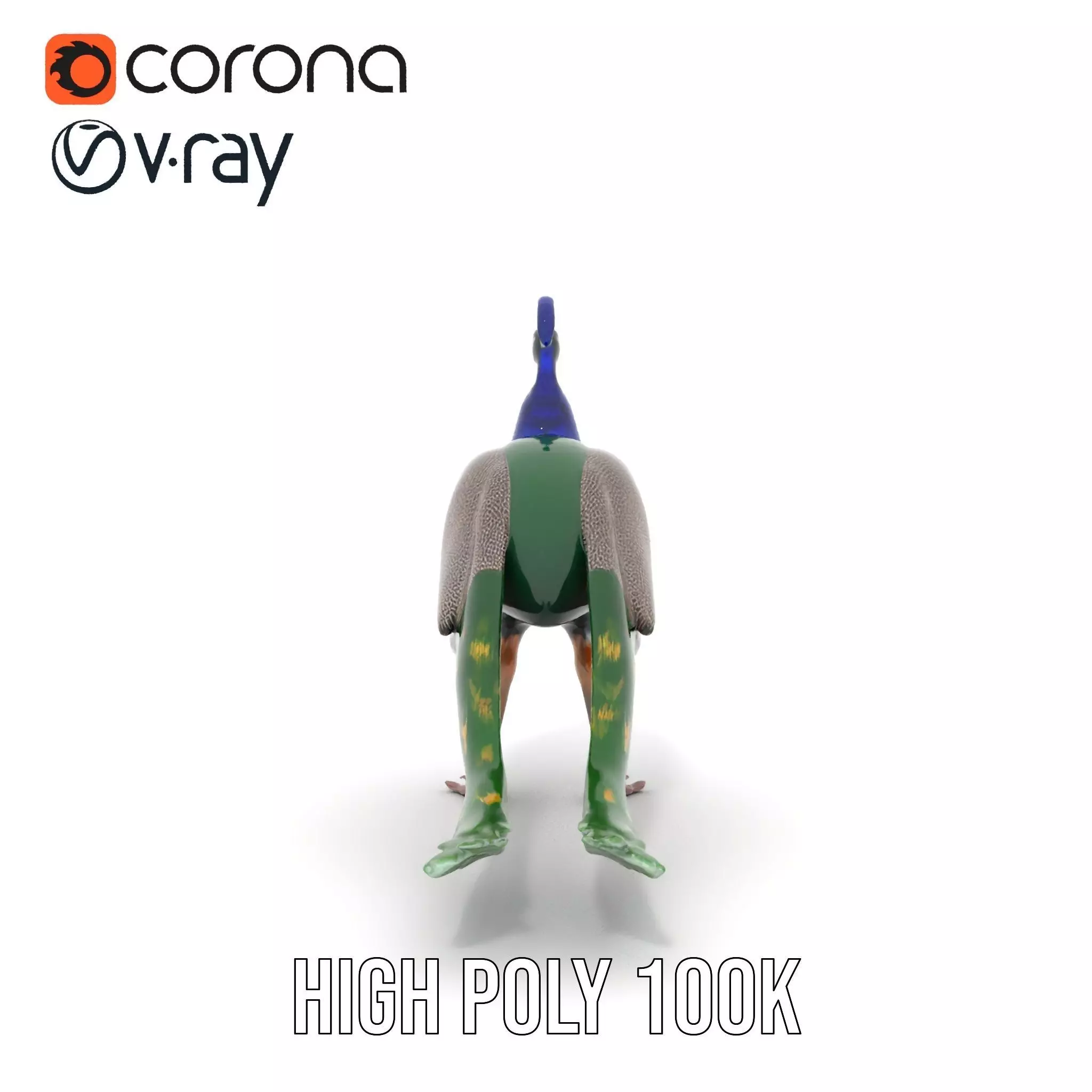 Vibrant Peacock Elegance model pack Low-poly 3D model_15