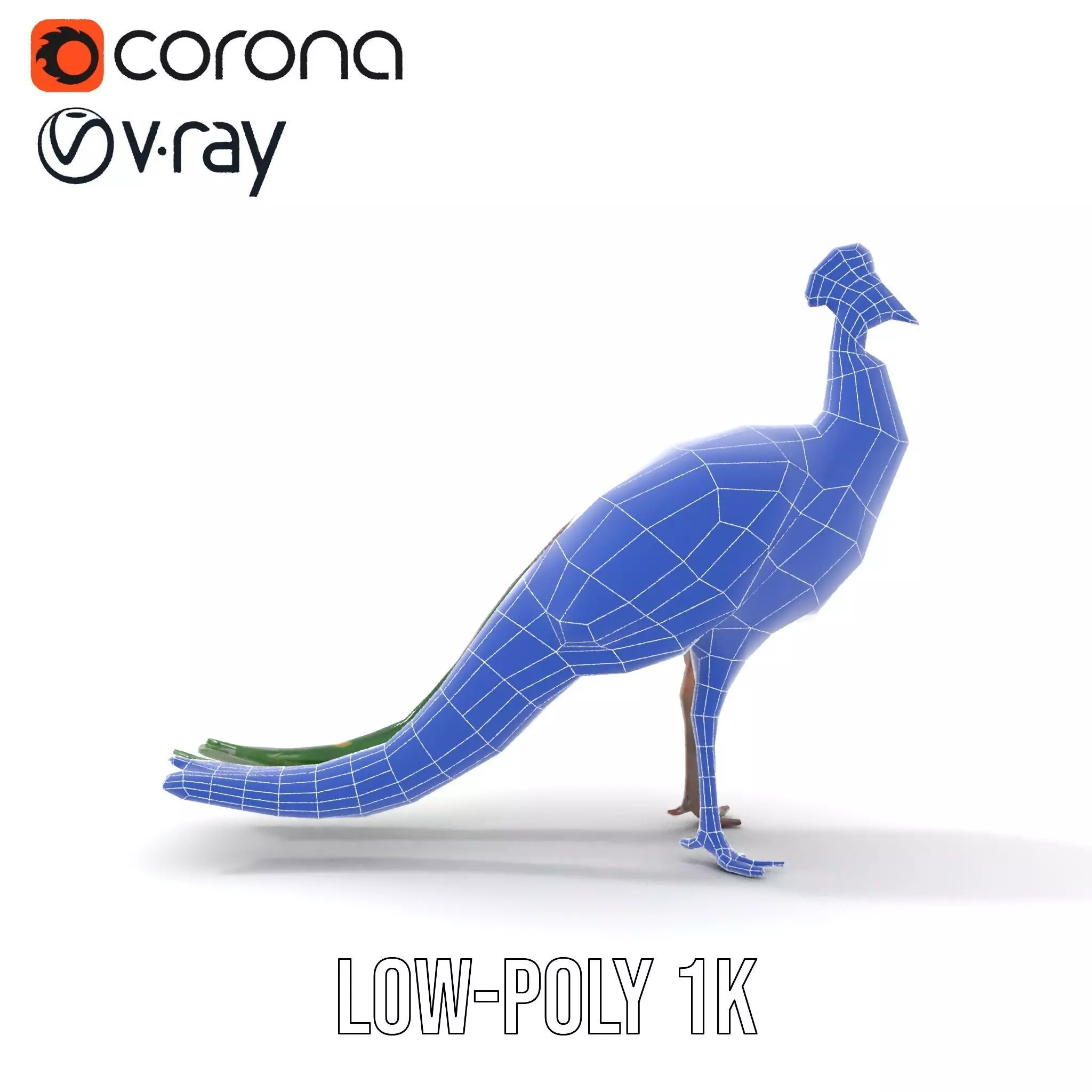 Vibrant Peacock Elegance model pack Low-poly 3D model_12