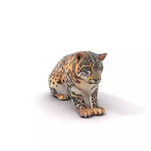 Spotted Leopard Realistic model pack Low-poly 3D model