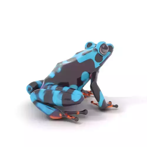 Vibrant Blue Frog model pack