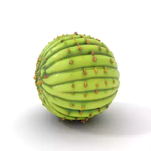 Round Cactus Sphere model pack