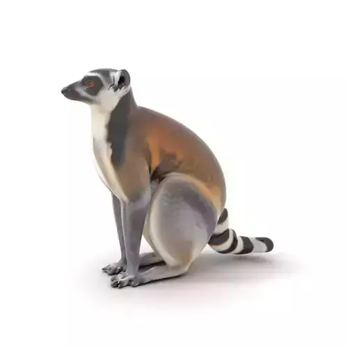 Elegant Lemur model pack Low-poly 3D model