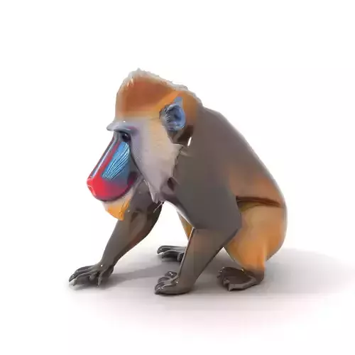 Vibrant Mandrill model pack