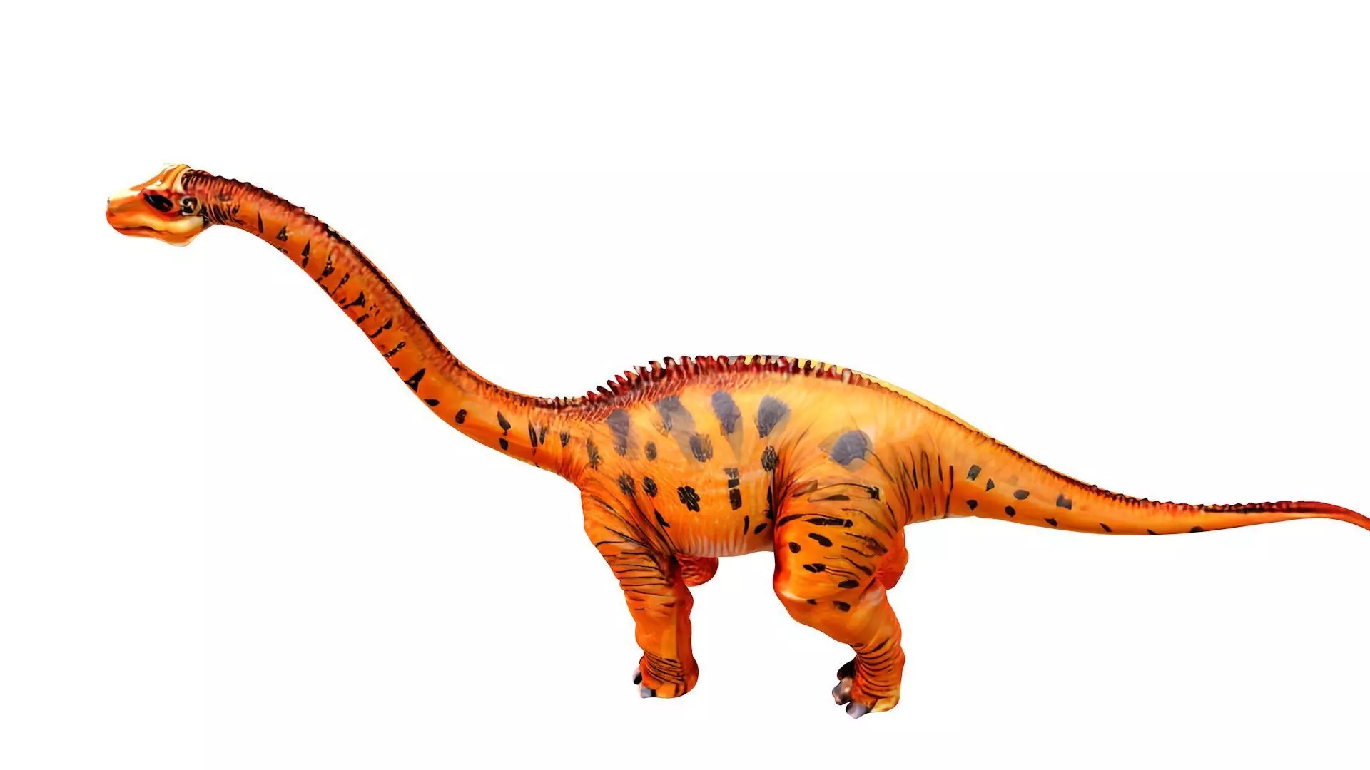 Apatosaurus 3D model_2