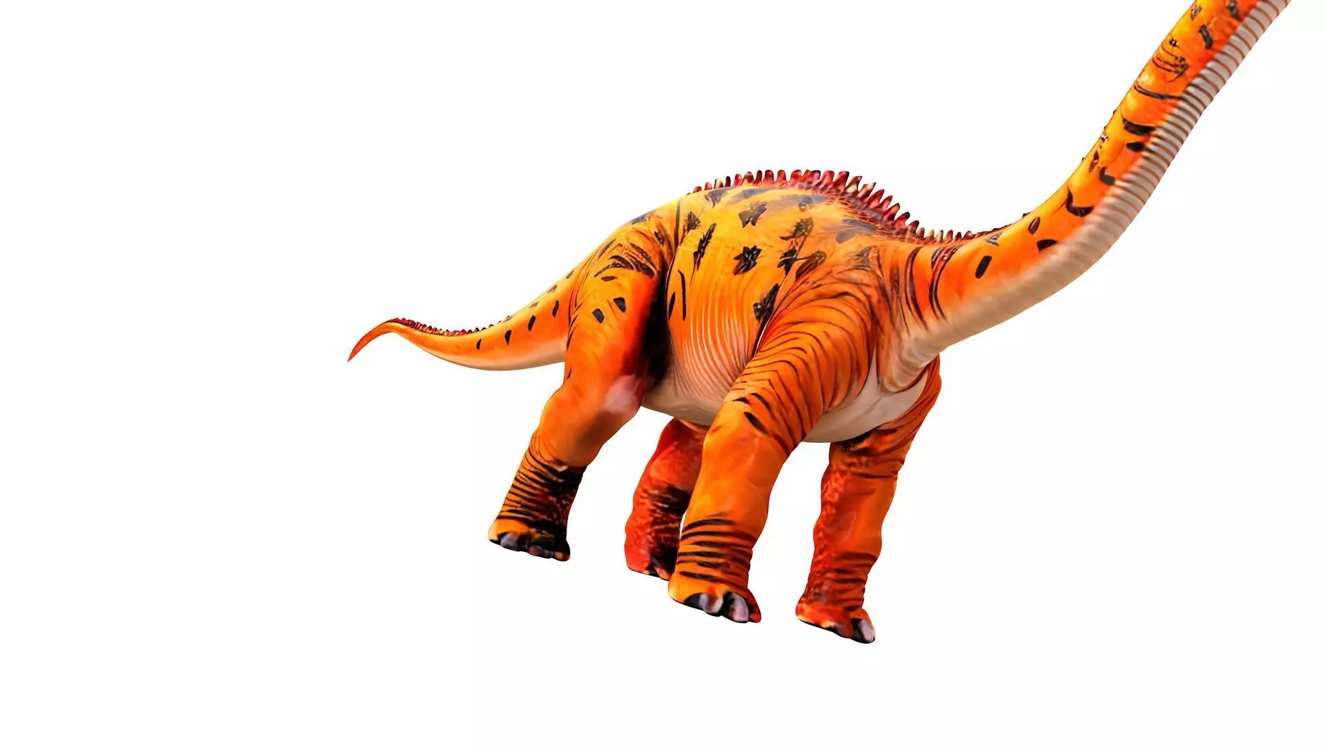 Apatosaurus 3D model_4