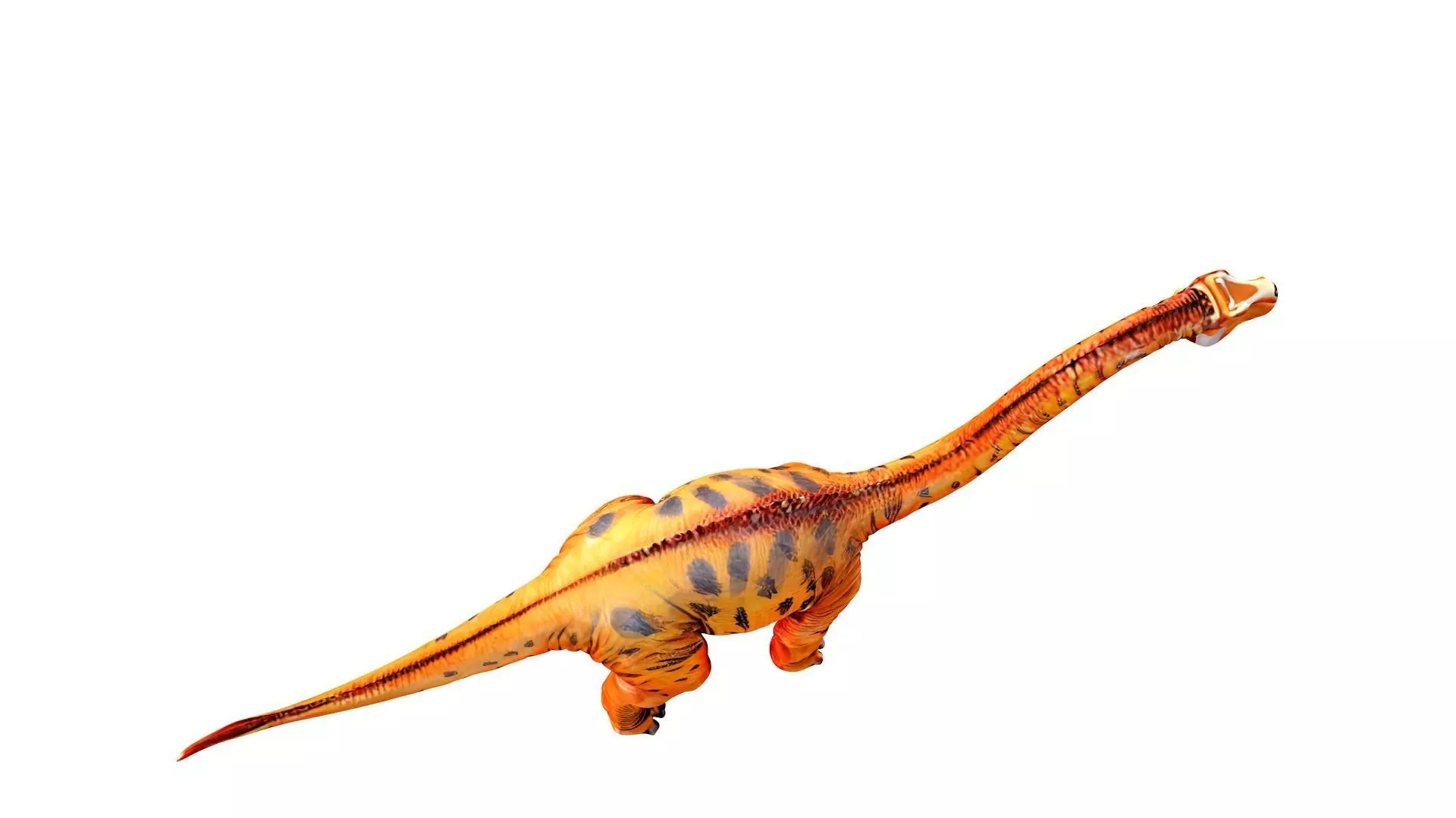 Apatosaurus 3D model_3