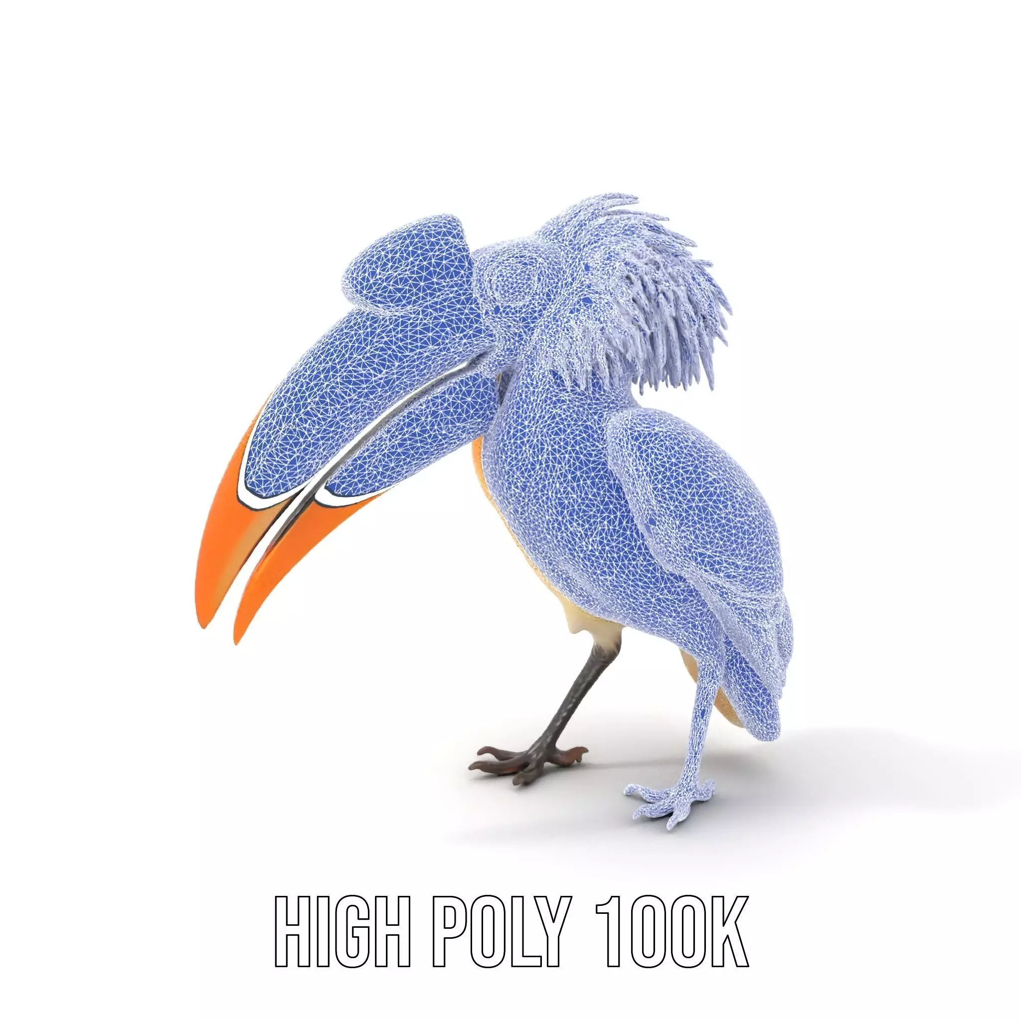 Vibrant Hornbill Bird model pack Low-poly 3D model_23