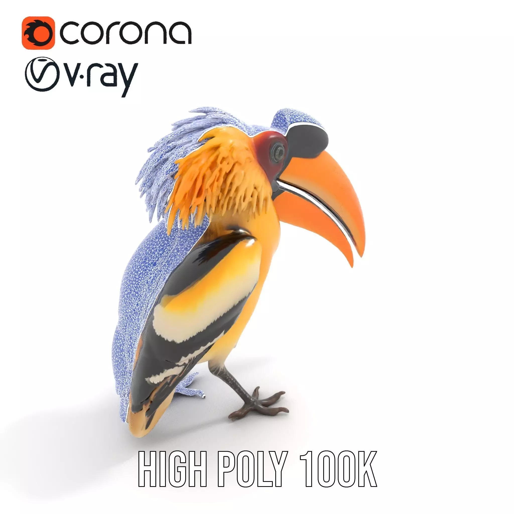 Vibrant Hornbill Bird model pack Low-poly 3D model_26