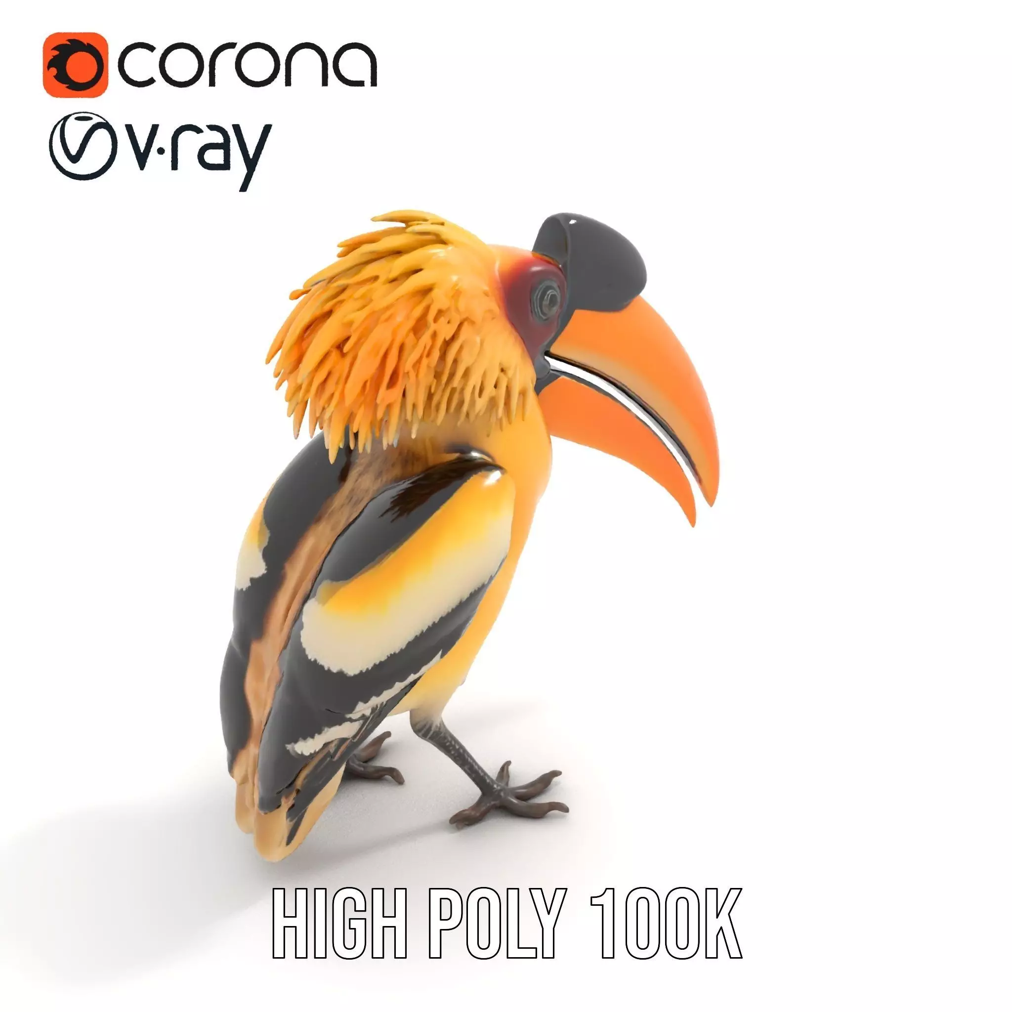 Vibrant Hornbill Bird model pack Low-poly 3D model_13