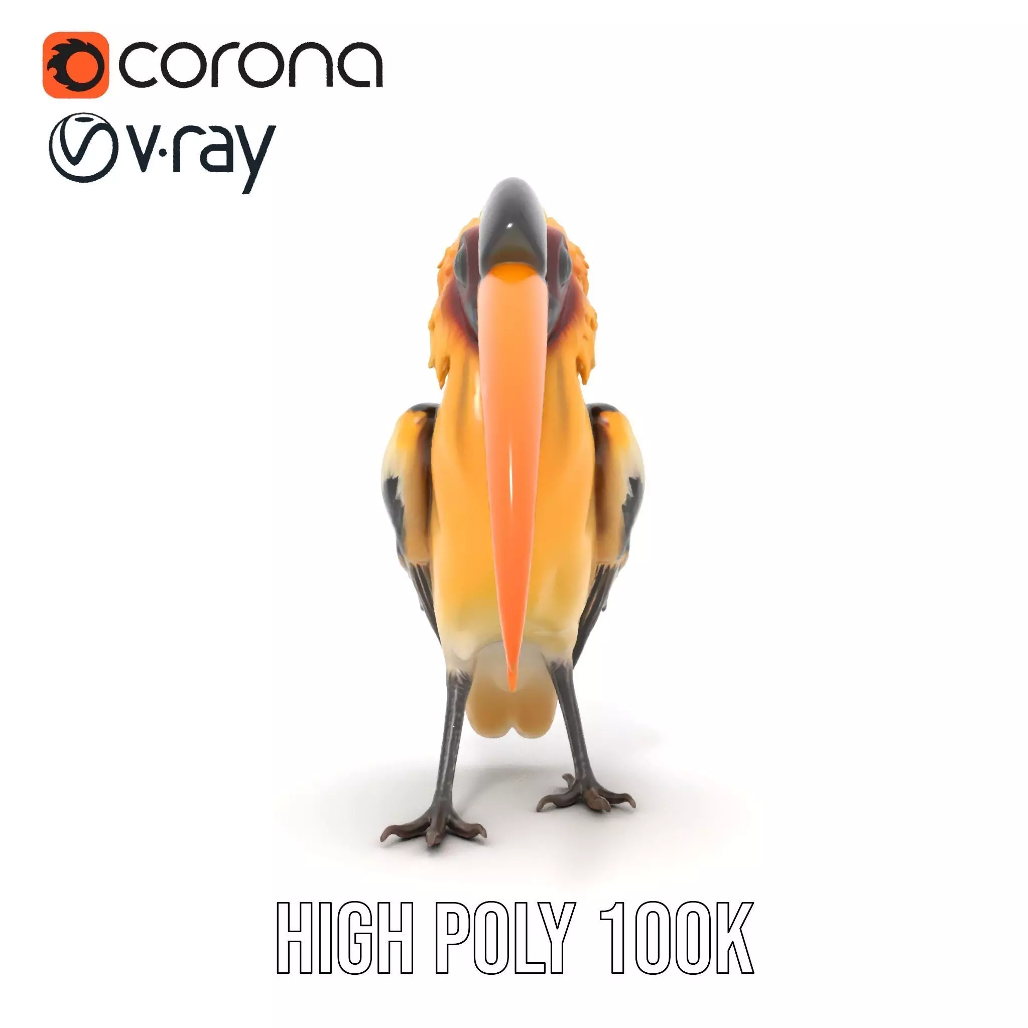 Vibrant Hornbill Bird model pack Low-poly 3D model_18