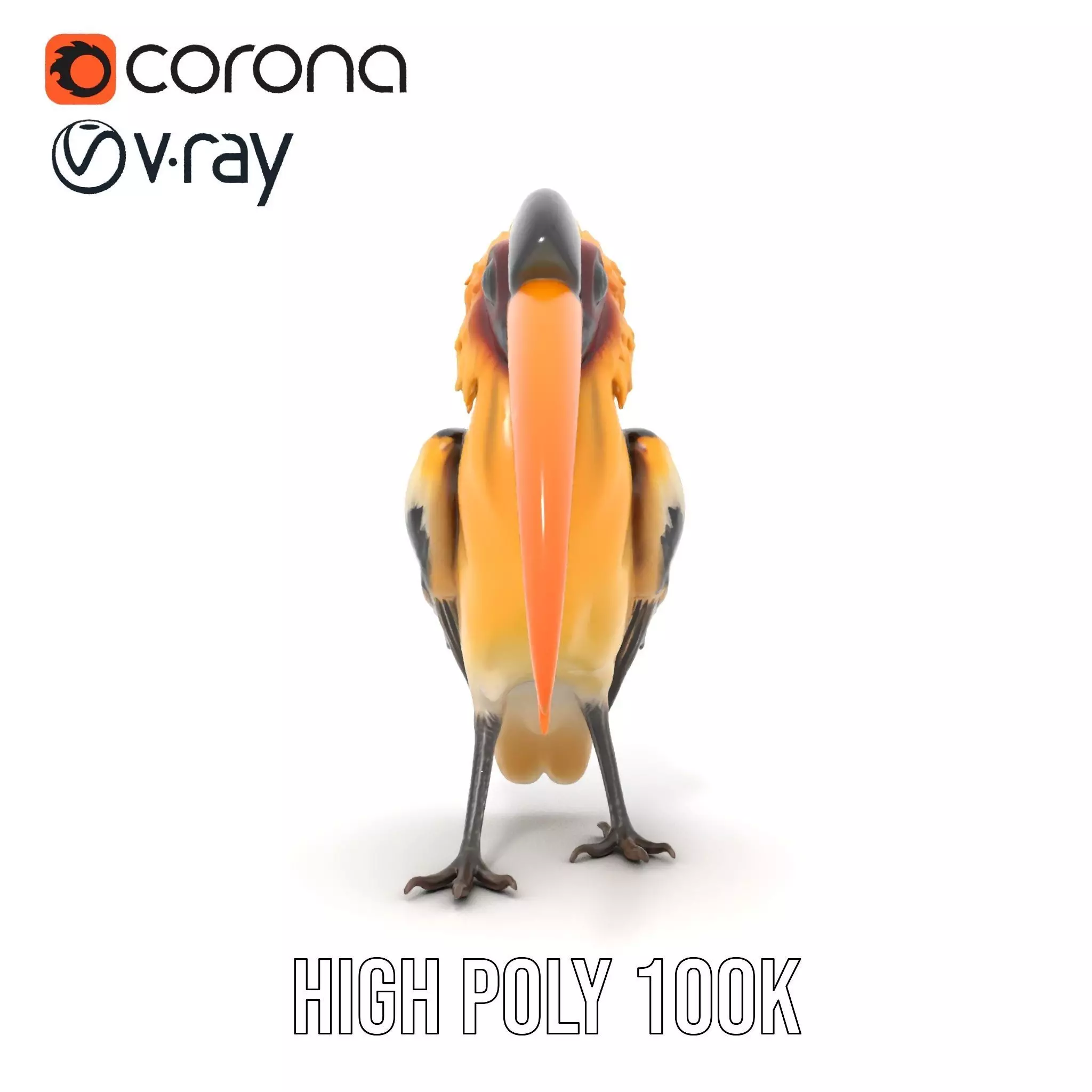 Vibrant Hornbill Bird model pack Low-poly 3D model_25