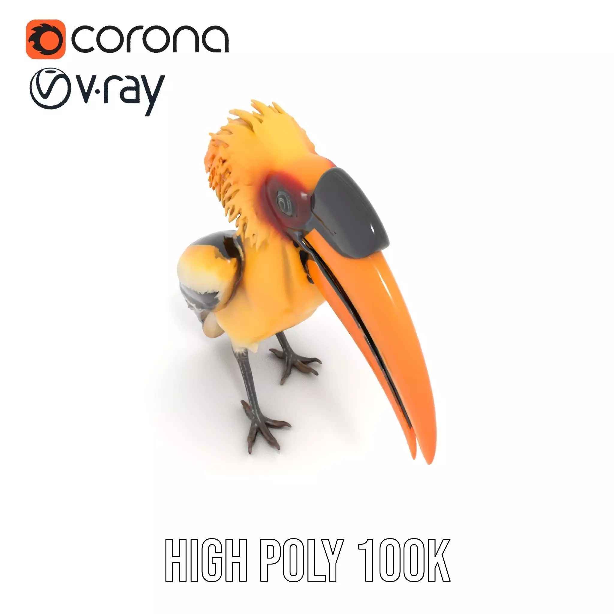 Vibrant Hornbill Bird model pack Low-poly 3D model_12