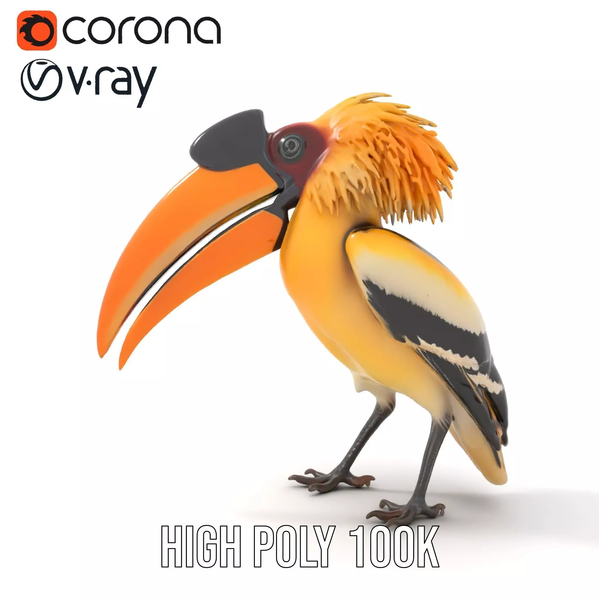 Vibrant Hornbill Bird model pack Low-poly 3D model_11