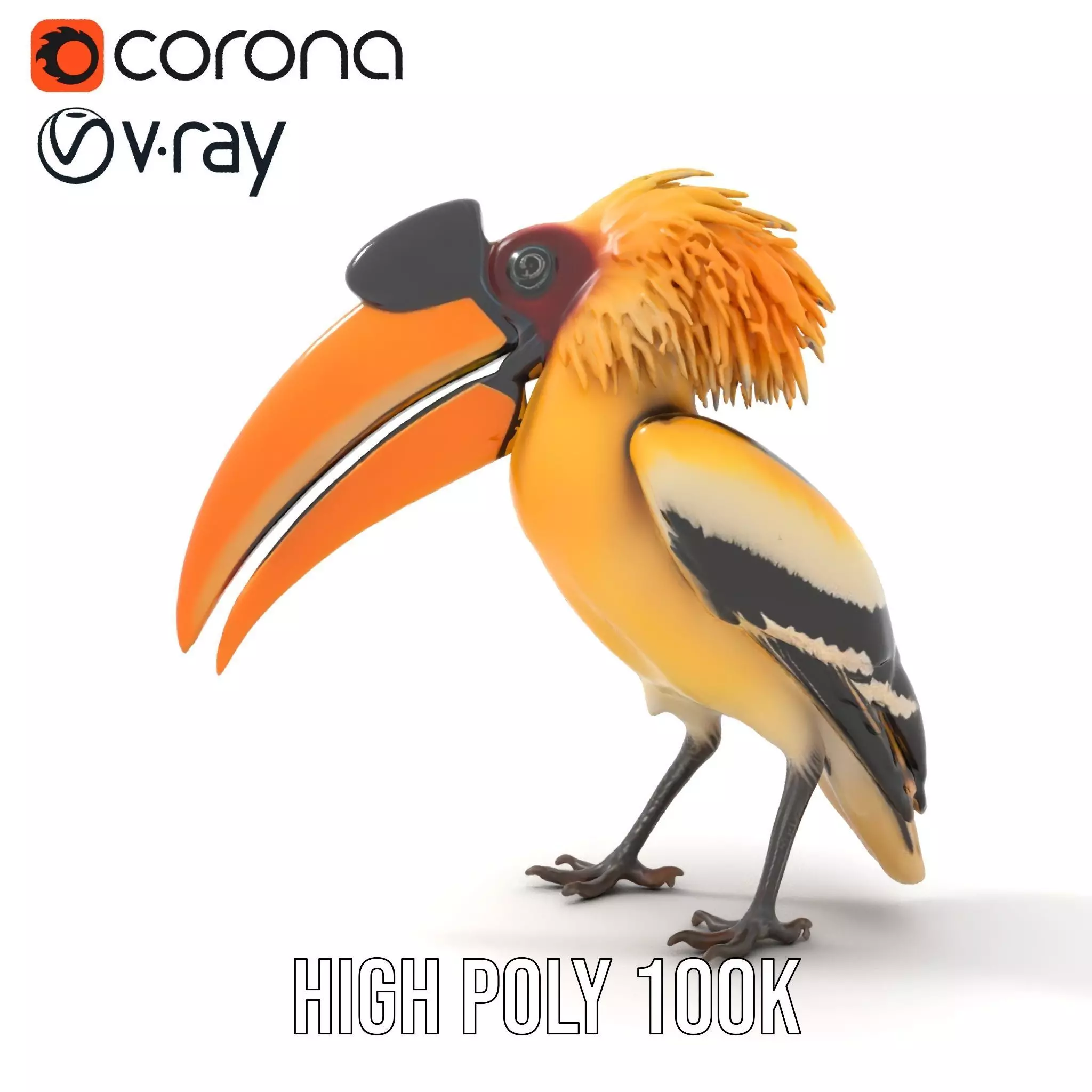 Vibrant Hornbill Bird model pack Low-poly 3D model_21