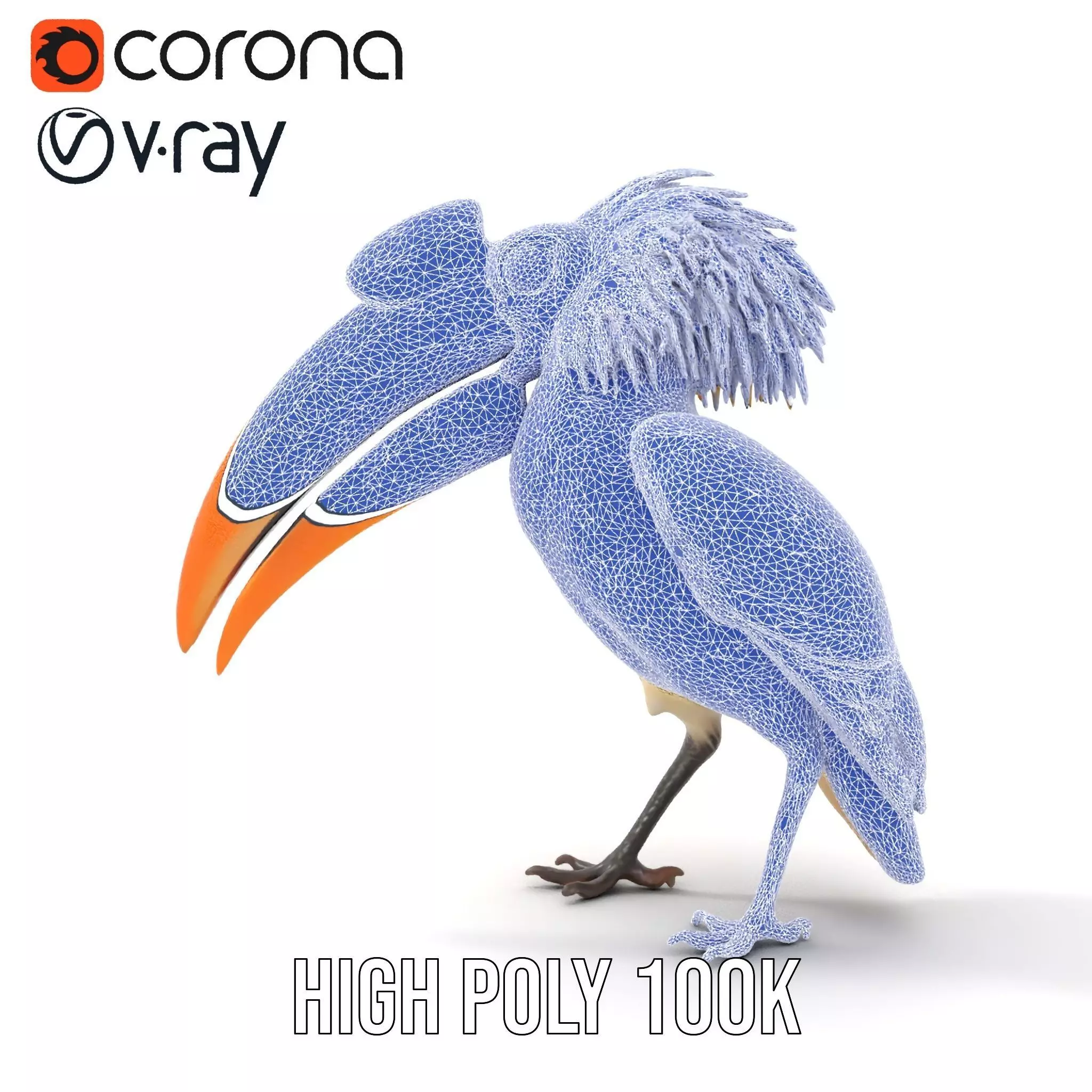 Vibrant Hornbill Bird model pack Low-poly 3D model_20