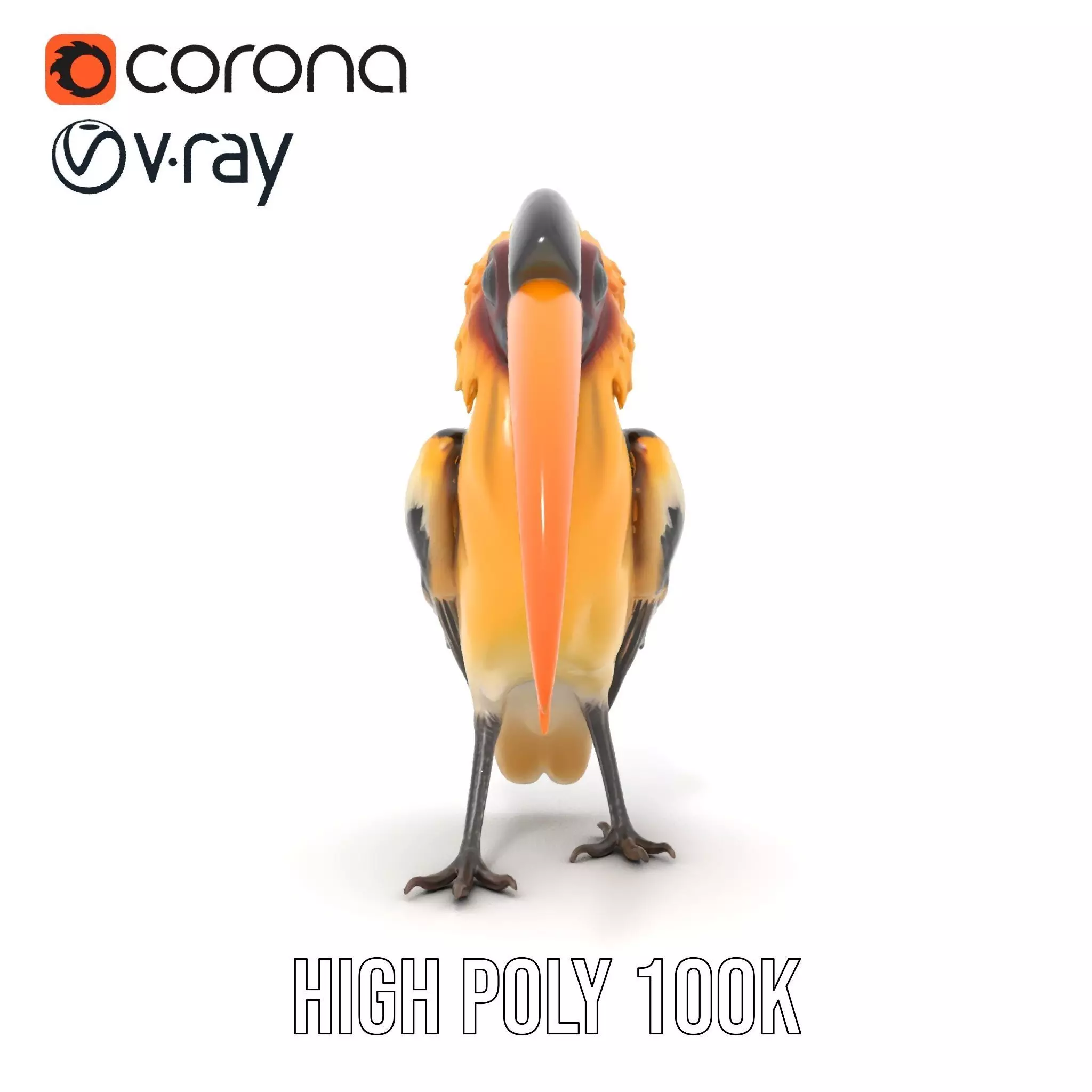 Vibrant Hornbill Bird model pack Low-poly 3D model_27