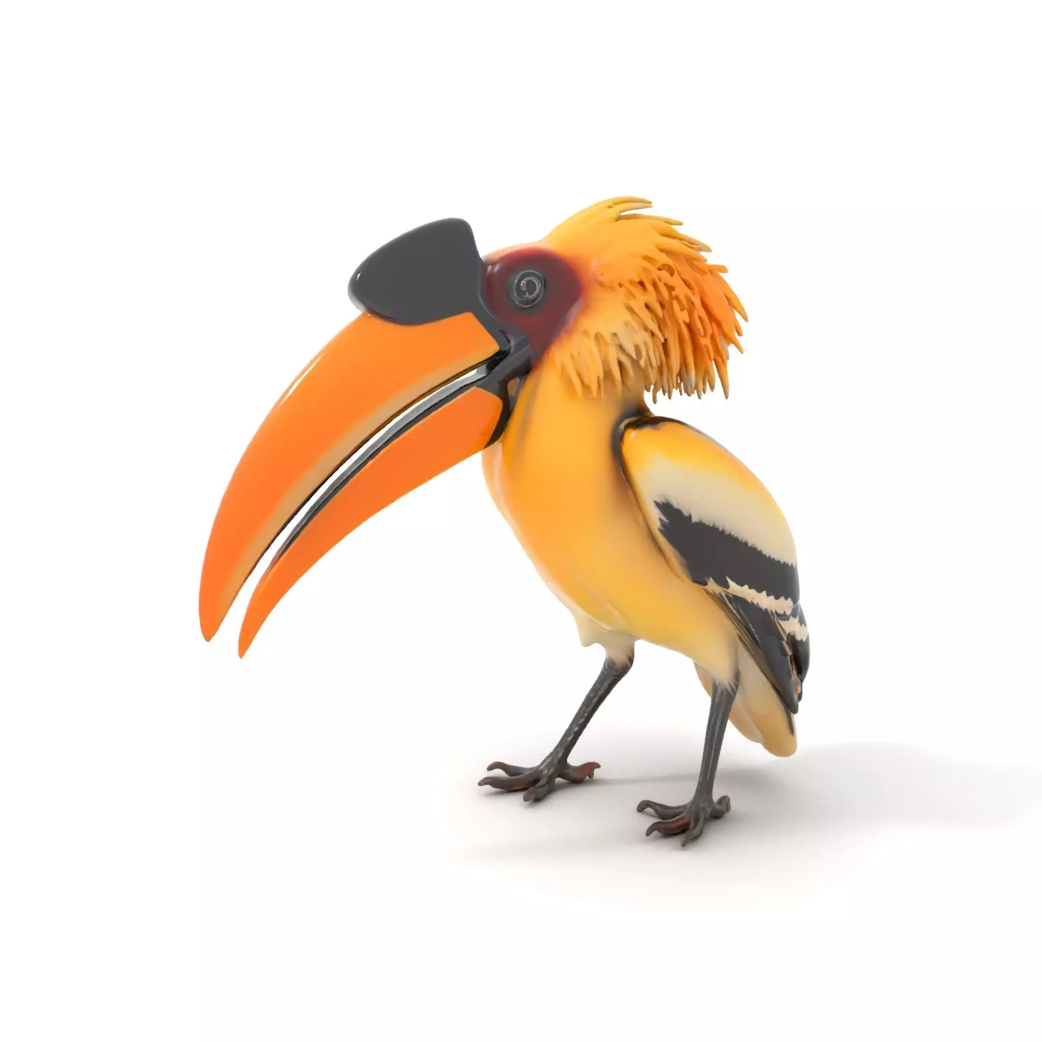 Vibrant Hornbill Bird model pack Low-poly 3D model_0