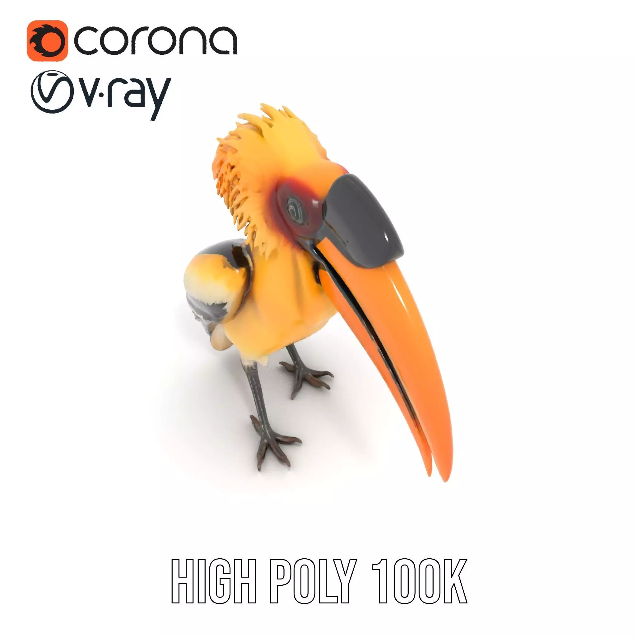 Vibrant Hornbill Bird model pack Low-poly 3D model_22