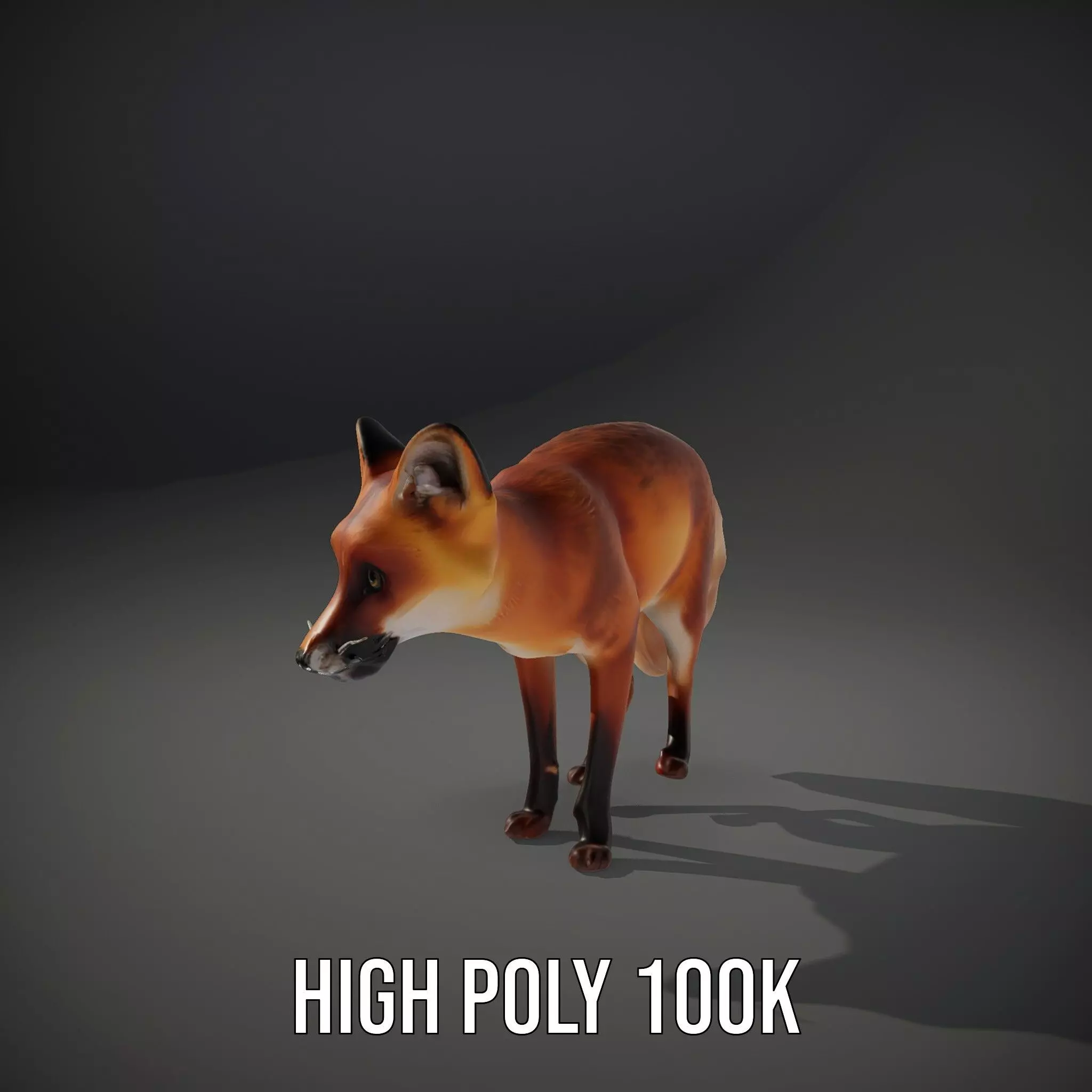Vivid Red Fox model pack Low-poly 3D model_10