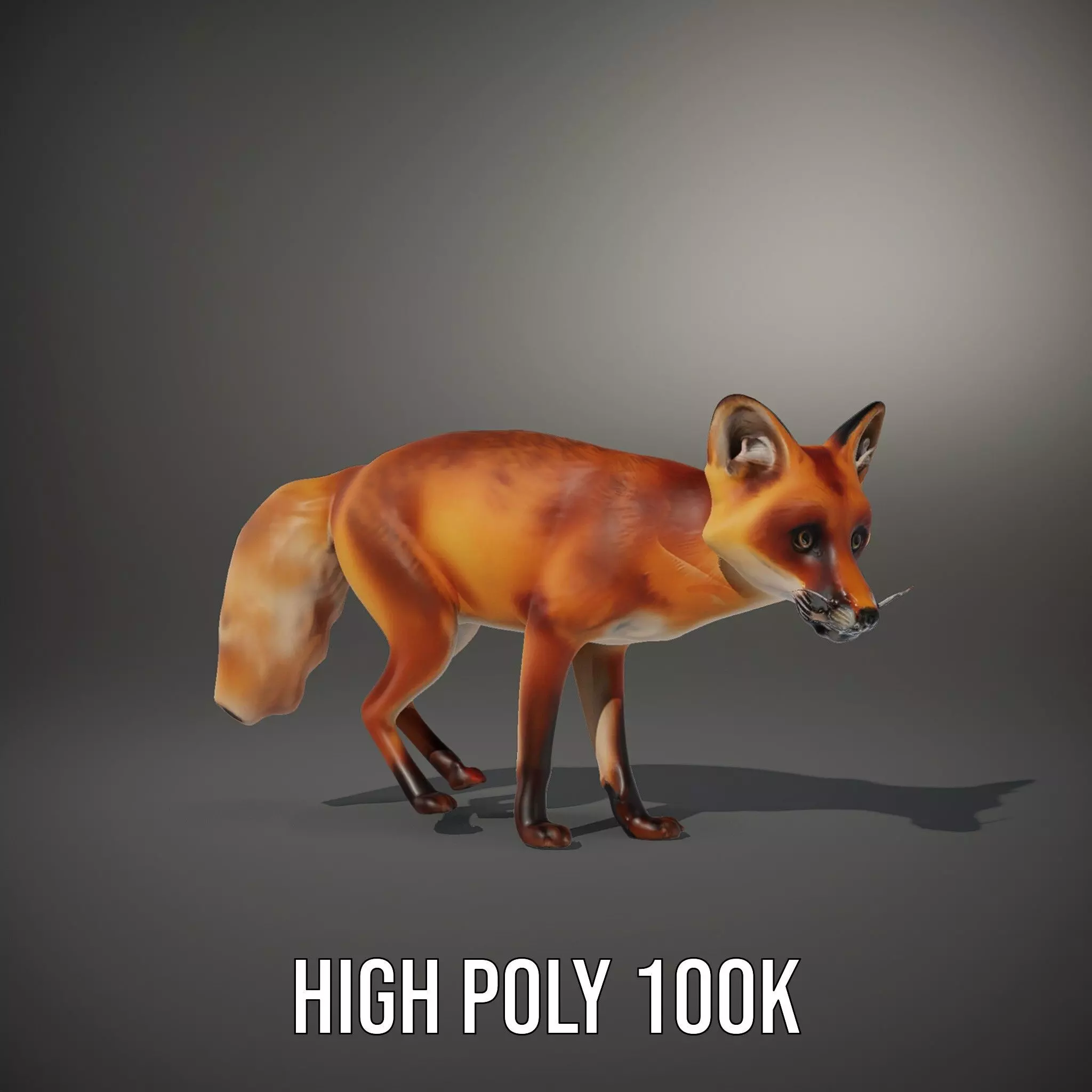 Vivid Red Fox model pack Low-poly 3D model_8