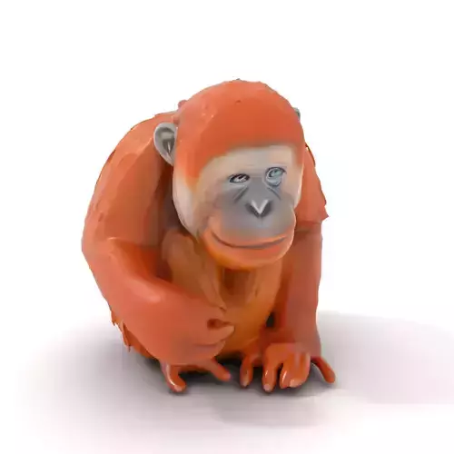 Orange Orangutan Character model pack Low-poly 3D model