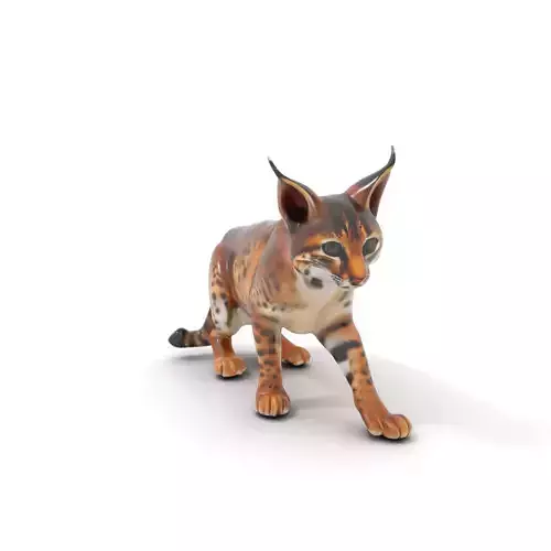 Elegant Lynx Cat model pack