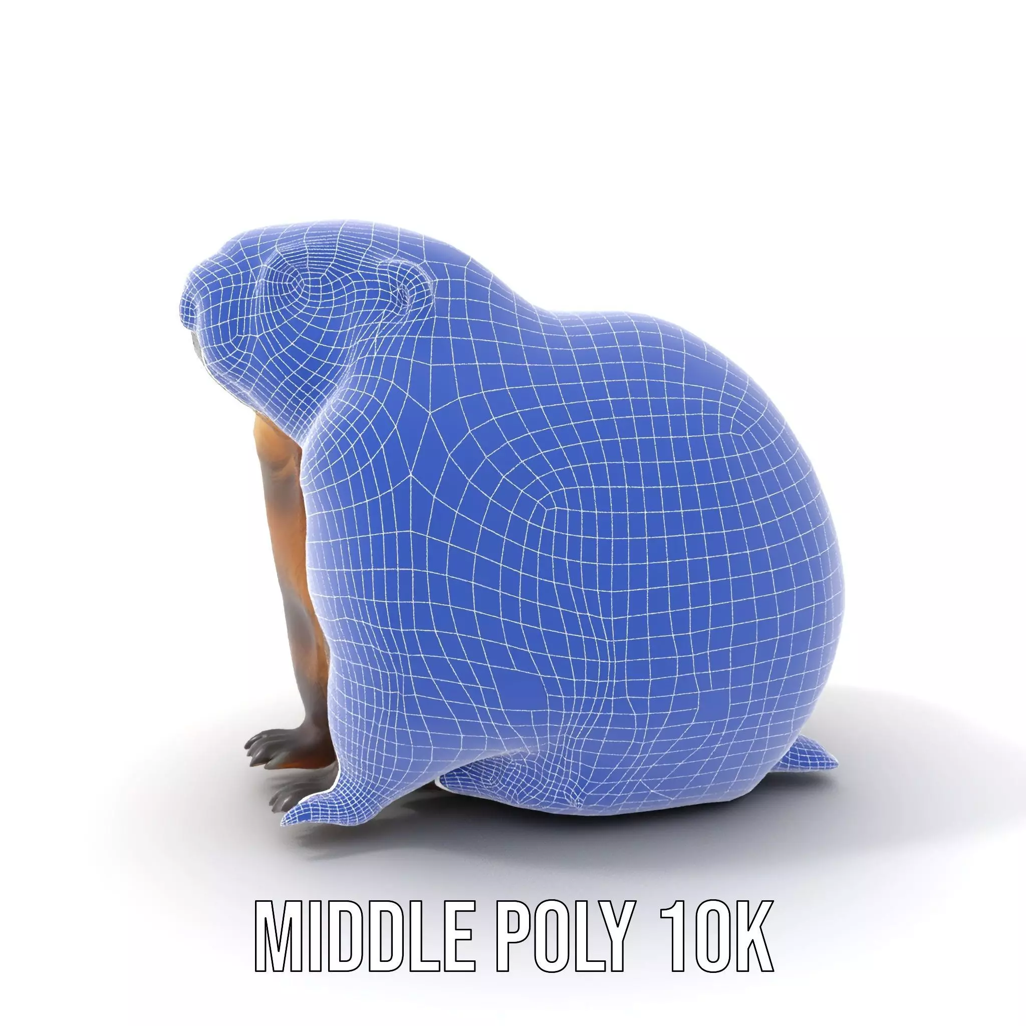 Realistic Gray Marmot model pack Low-poly 3D model_21