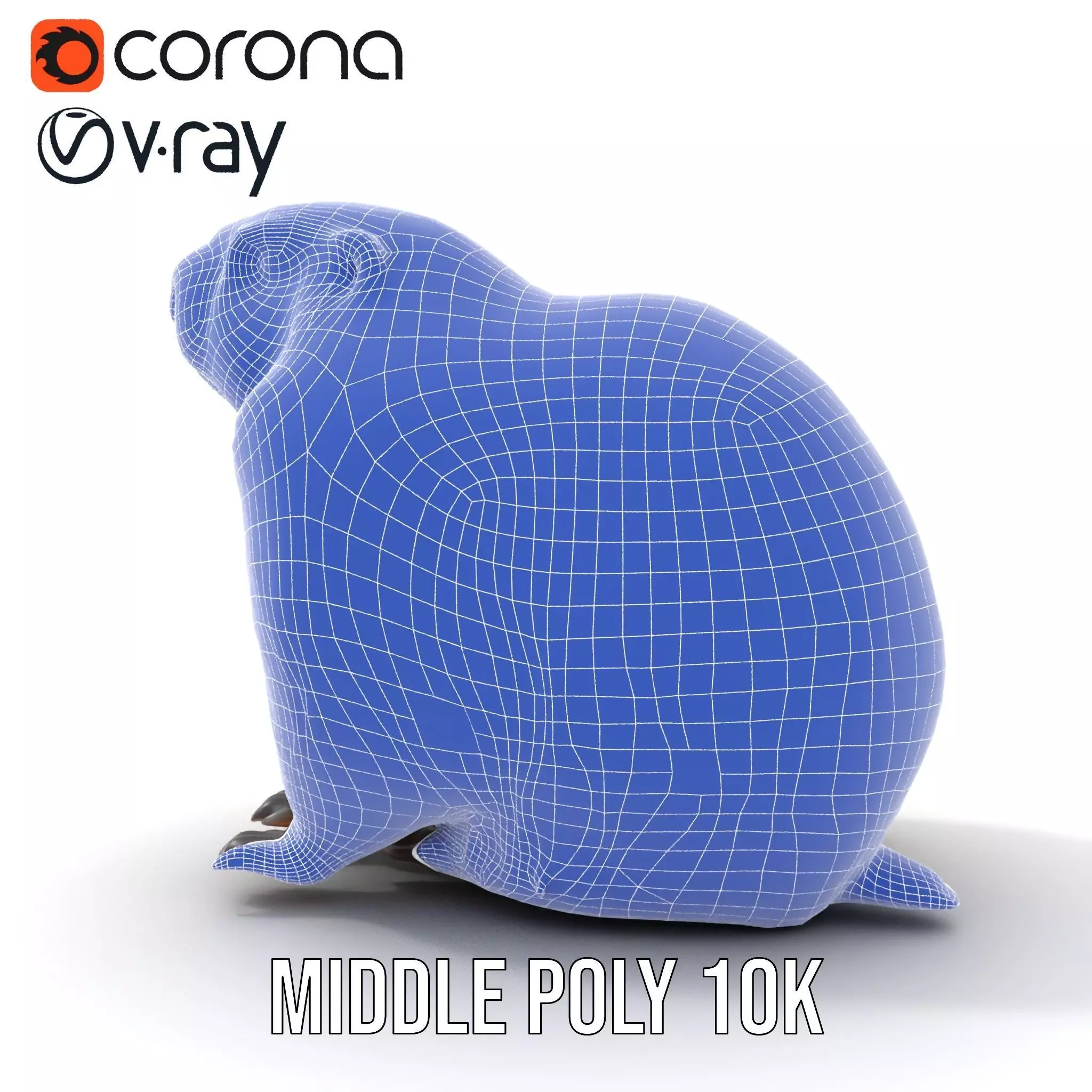 Realistic Gray Marmot model pack Low-poly 3D model_27