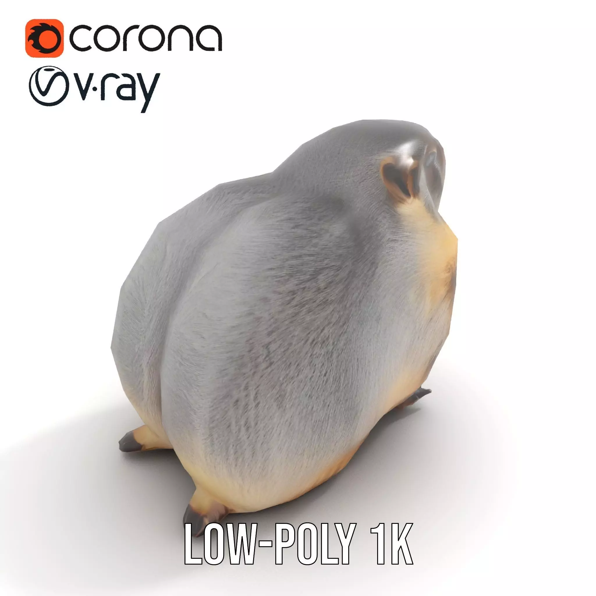 Realistic Gray Marmot model pack Low-poly 3D model_28