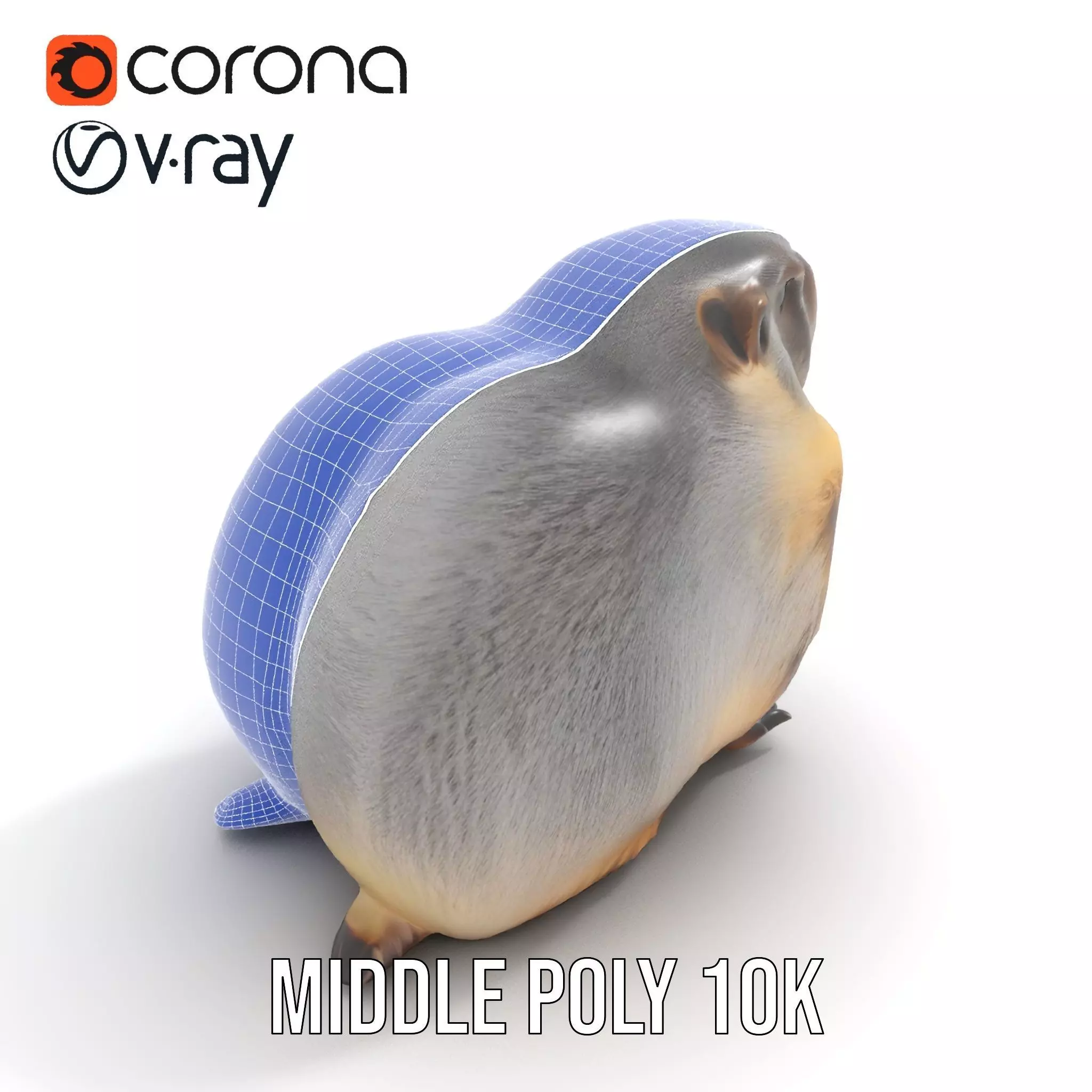 Realistic Gray Marmot model pack Low-poly 3D model_30