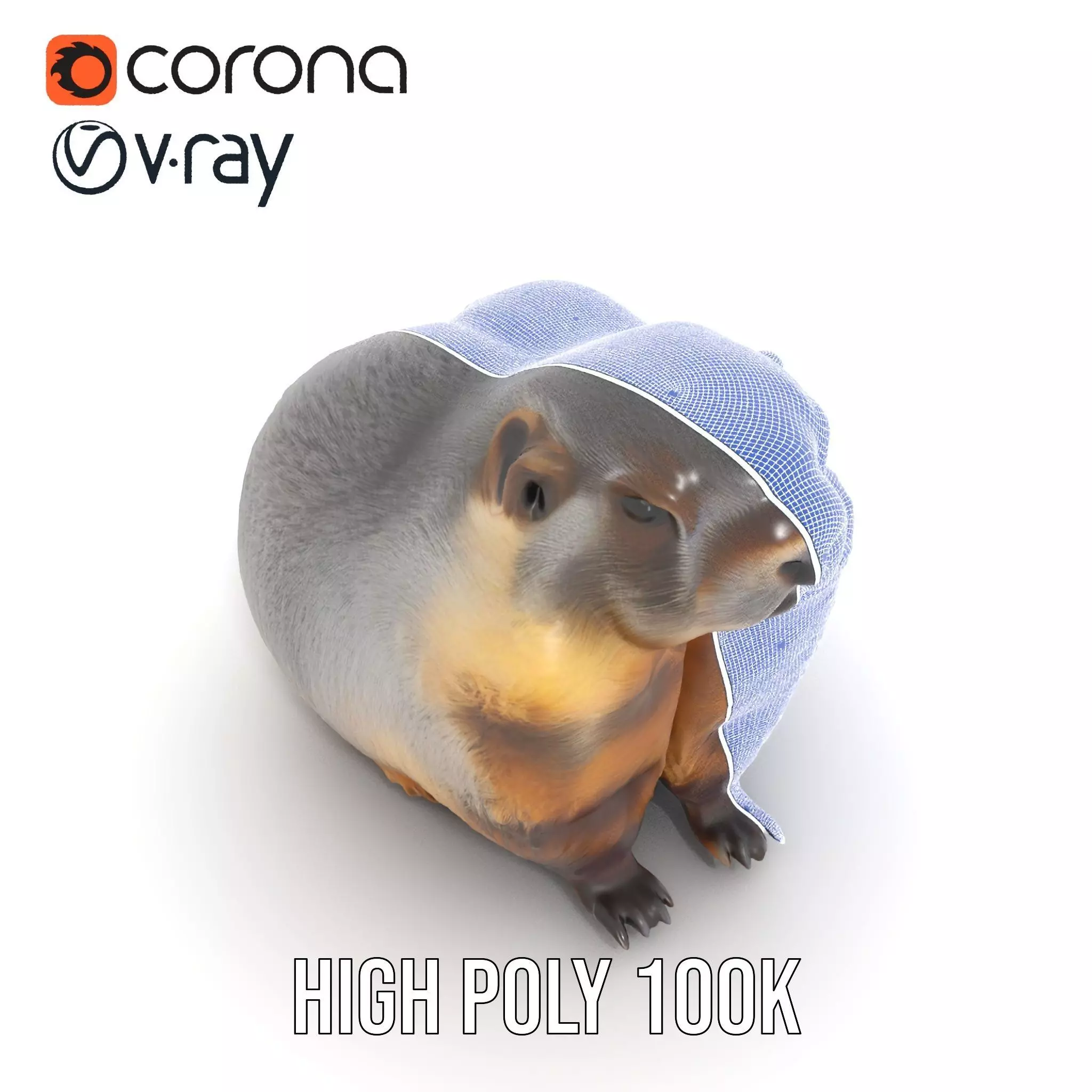 Realistic Gray Marmot model pack Low-poly 3D model_33