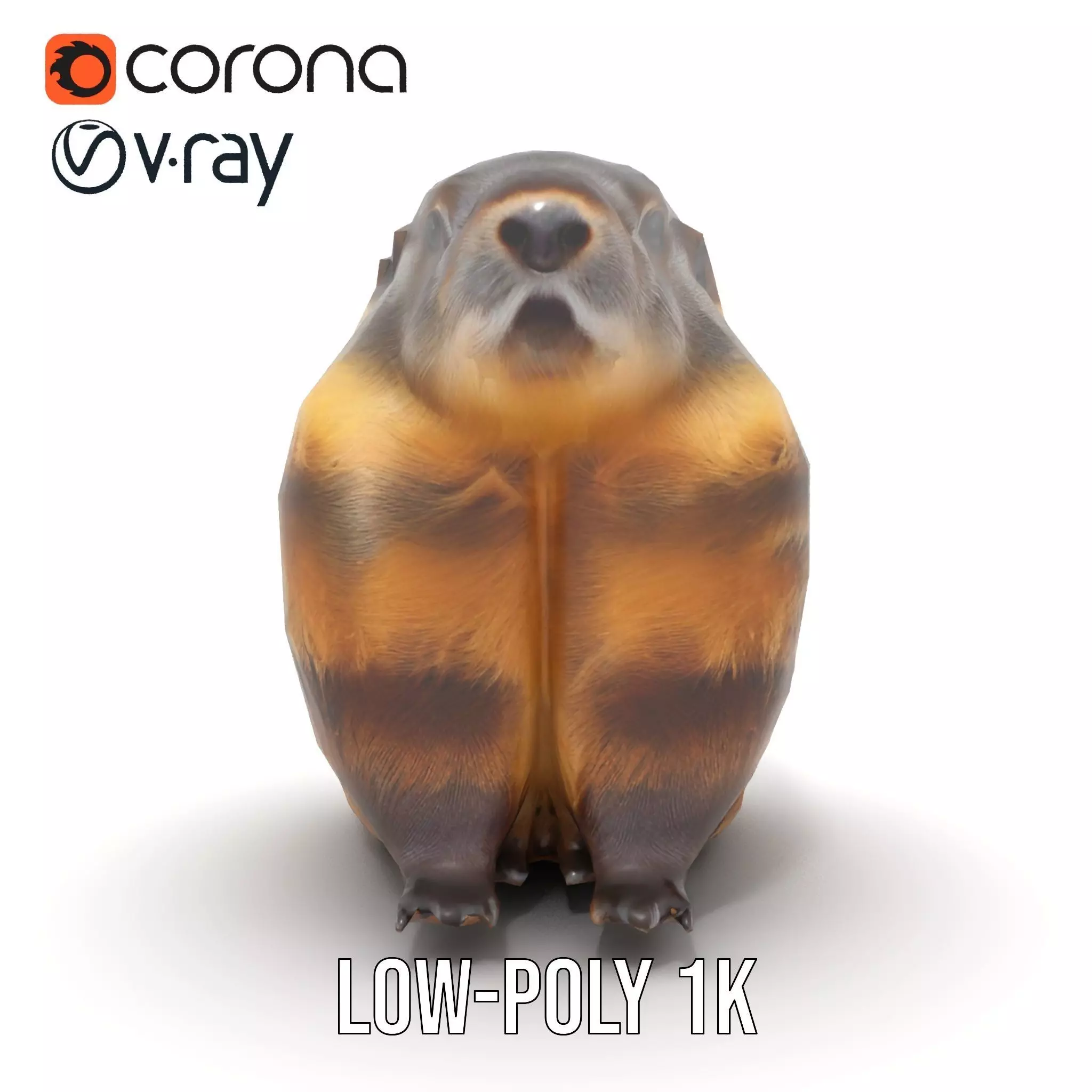 Realistic Gray Marmot model pack Low-poly 3D model_20