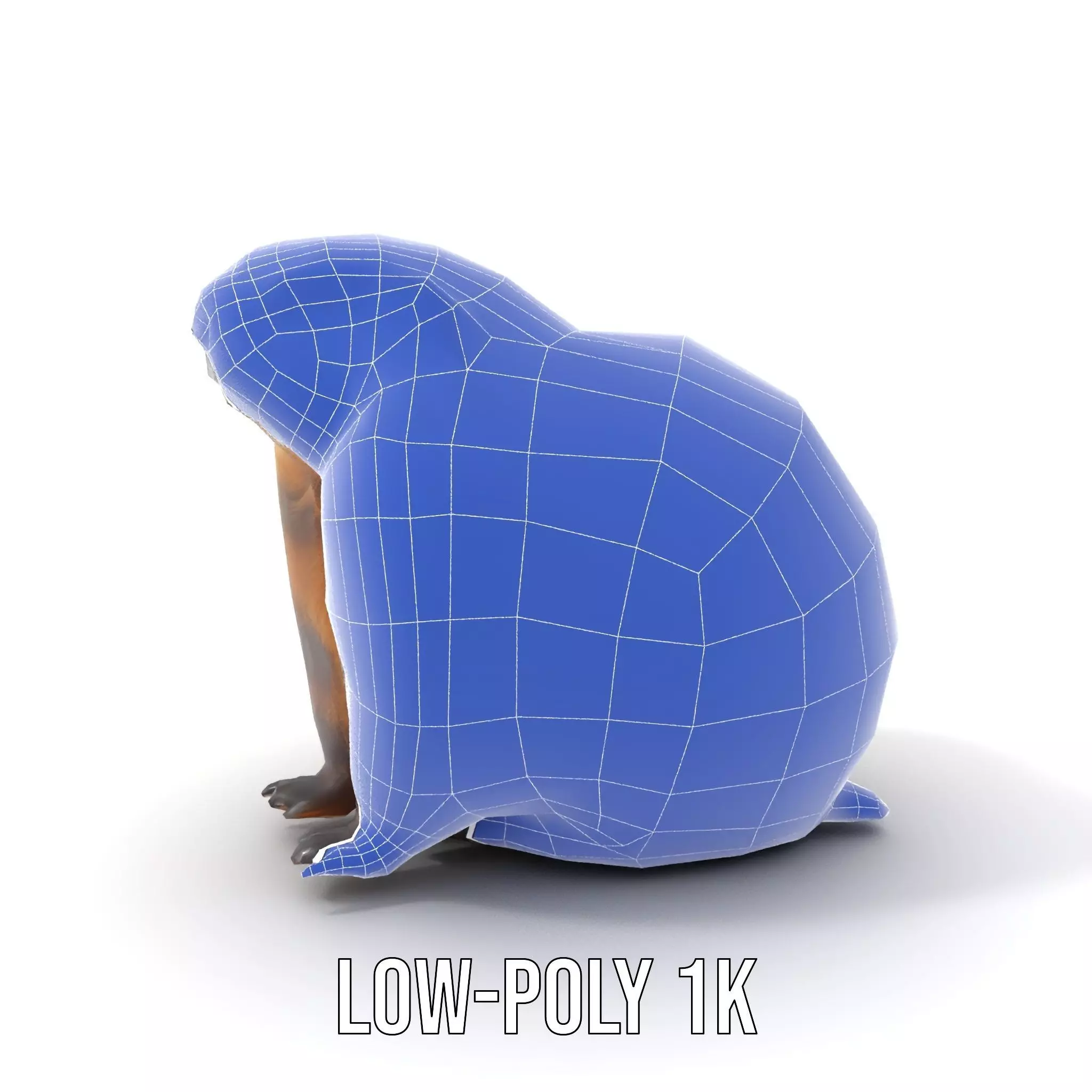 Realistic Gray Marmot model pack Low-poly 3D model_17