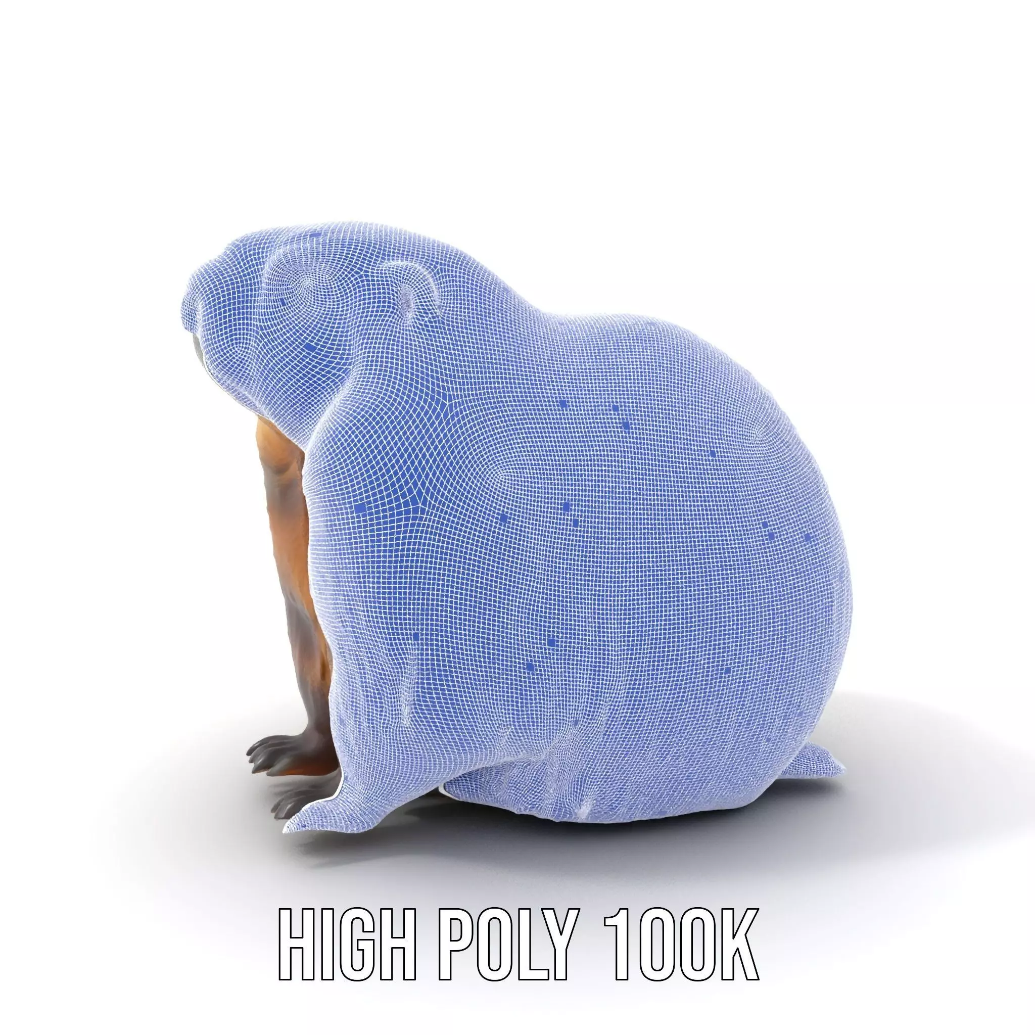 Realistic Gray Marmot model pack Low-poly 3D model_4