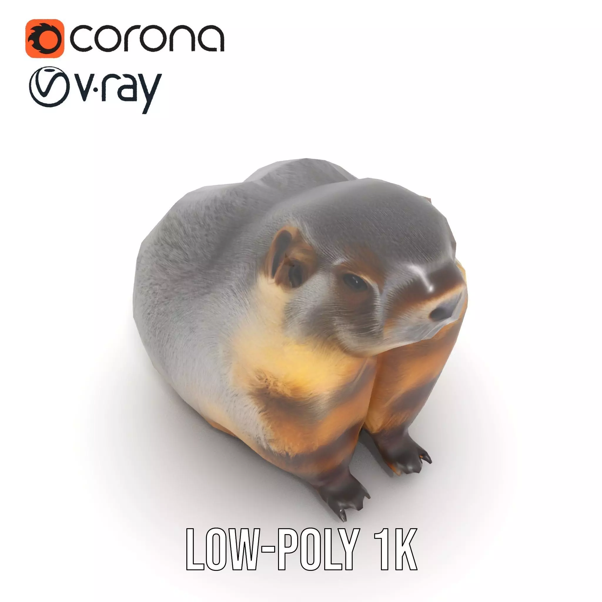 Realistic Gray Marmot model pack Low-poly 3D model_14