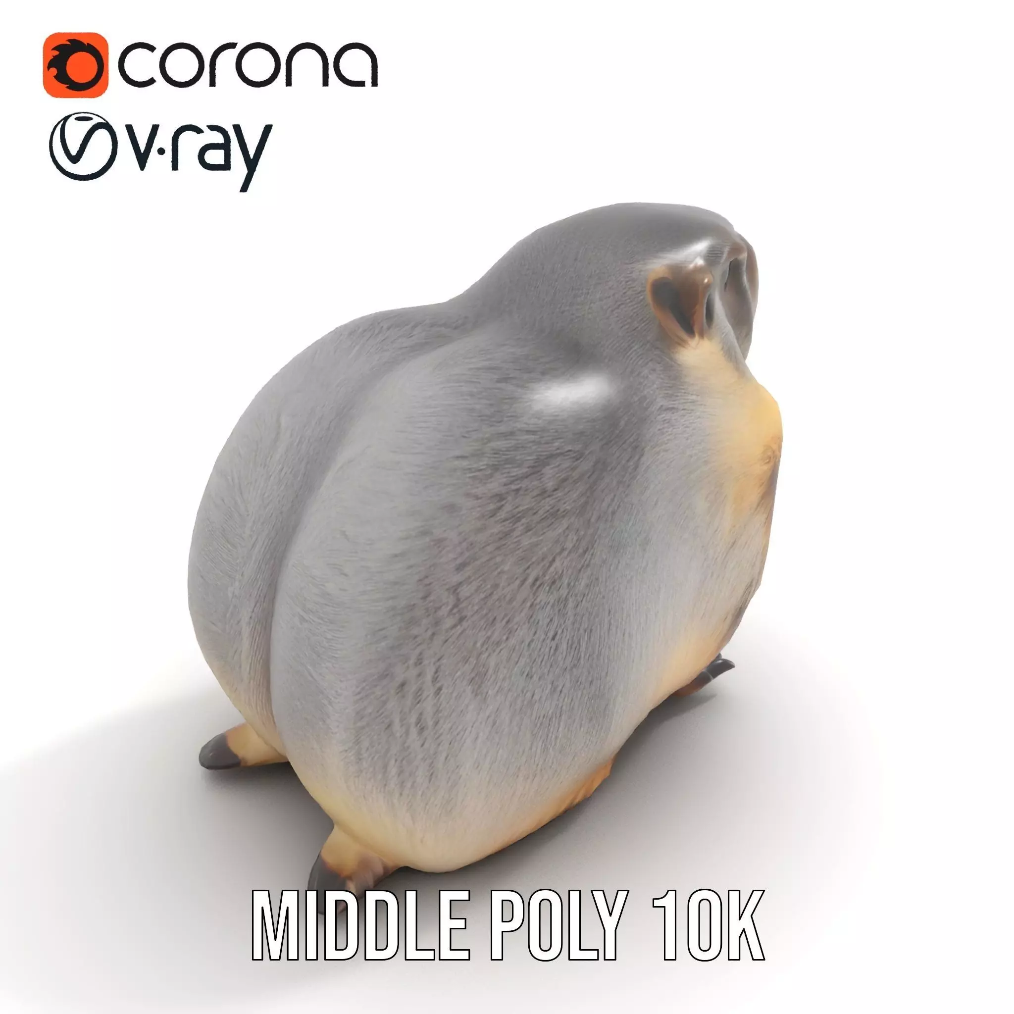 Realistic Gray Marmot model pack Low-poly 3D model_6