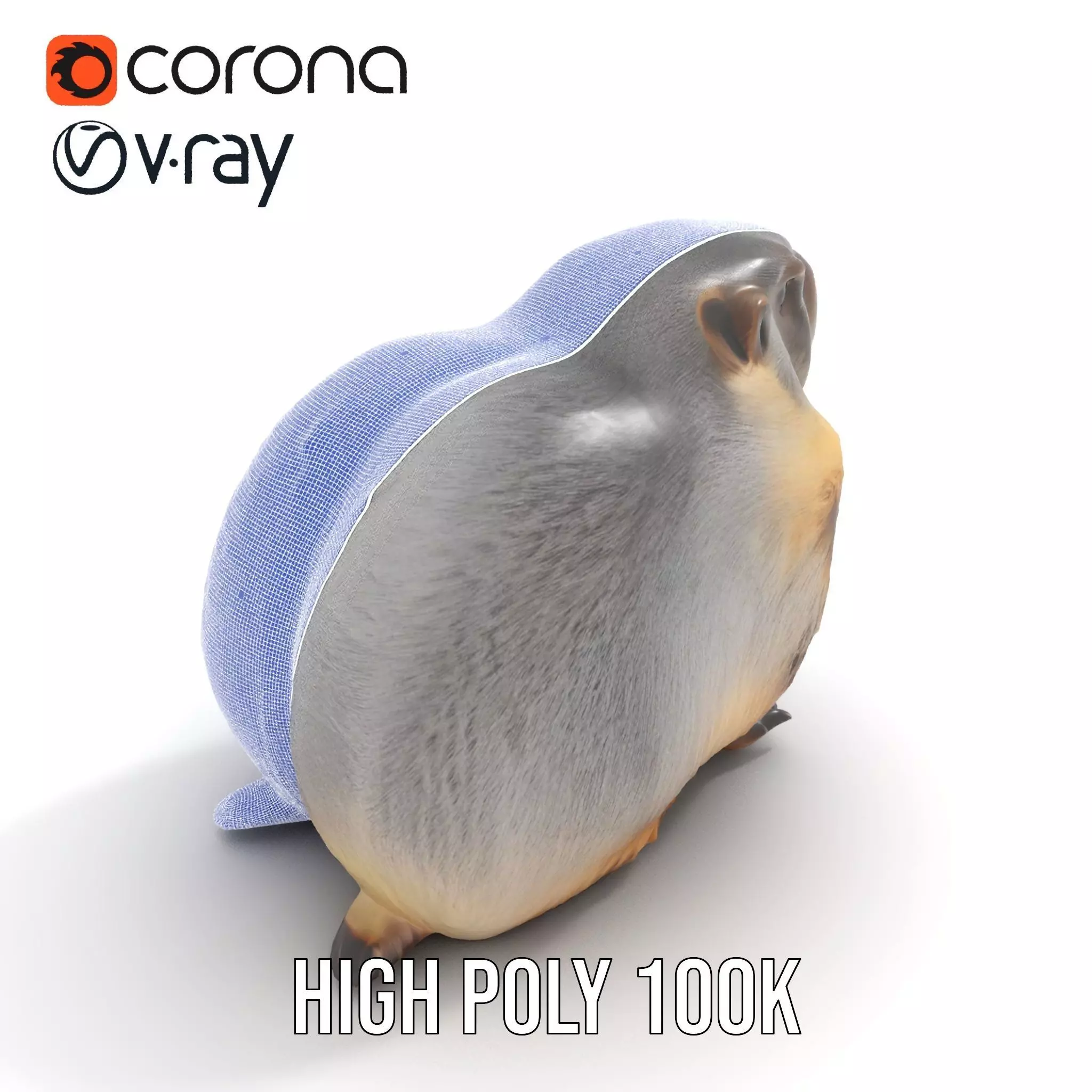 Realistic Gray Marmot model pack Low-poly 3D model_29