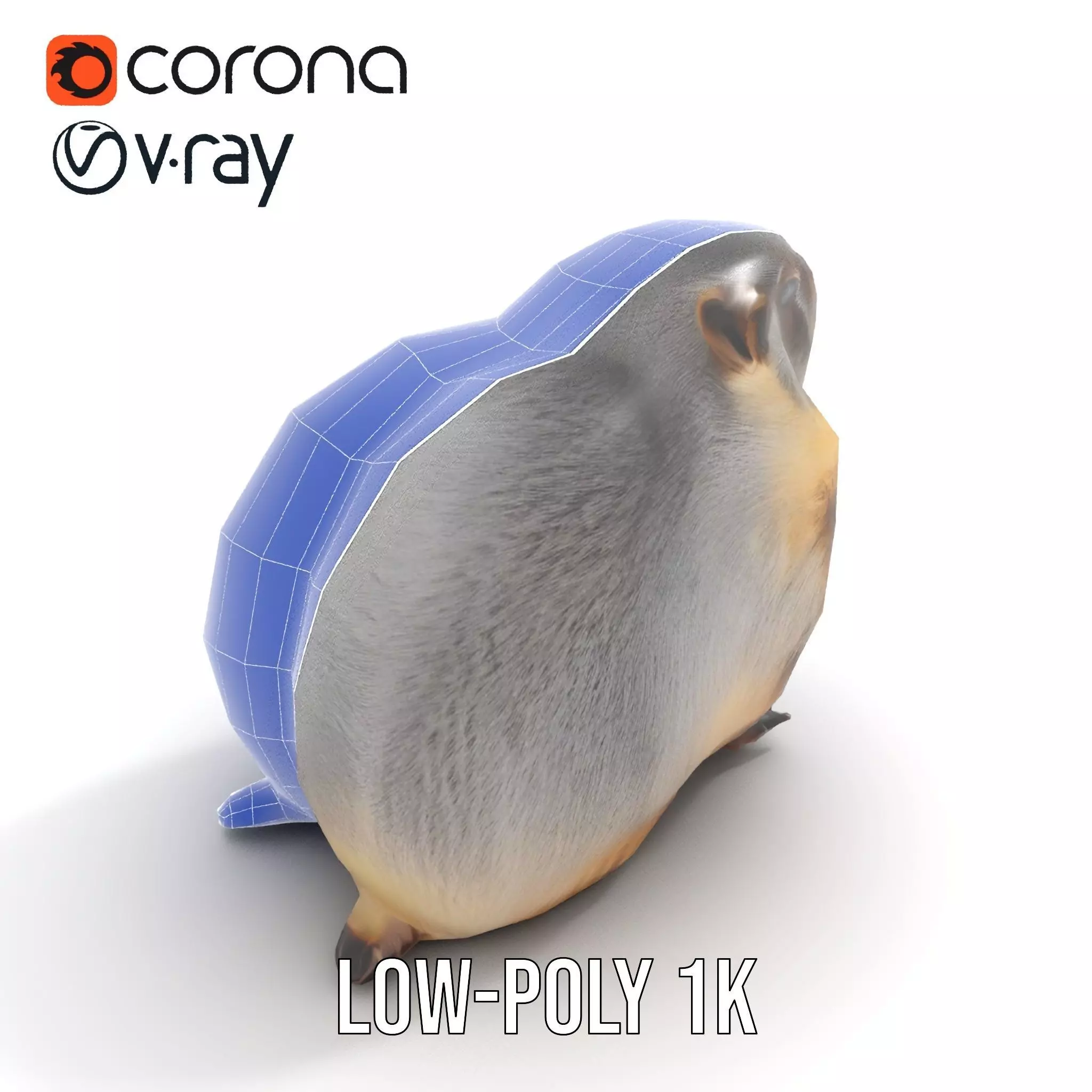 Realistic Gray Marmot model pack Low-poly 3D model_22