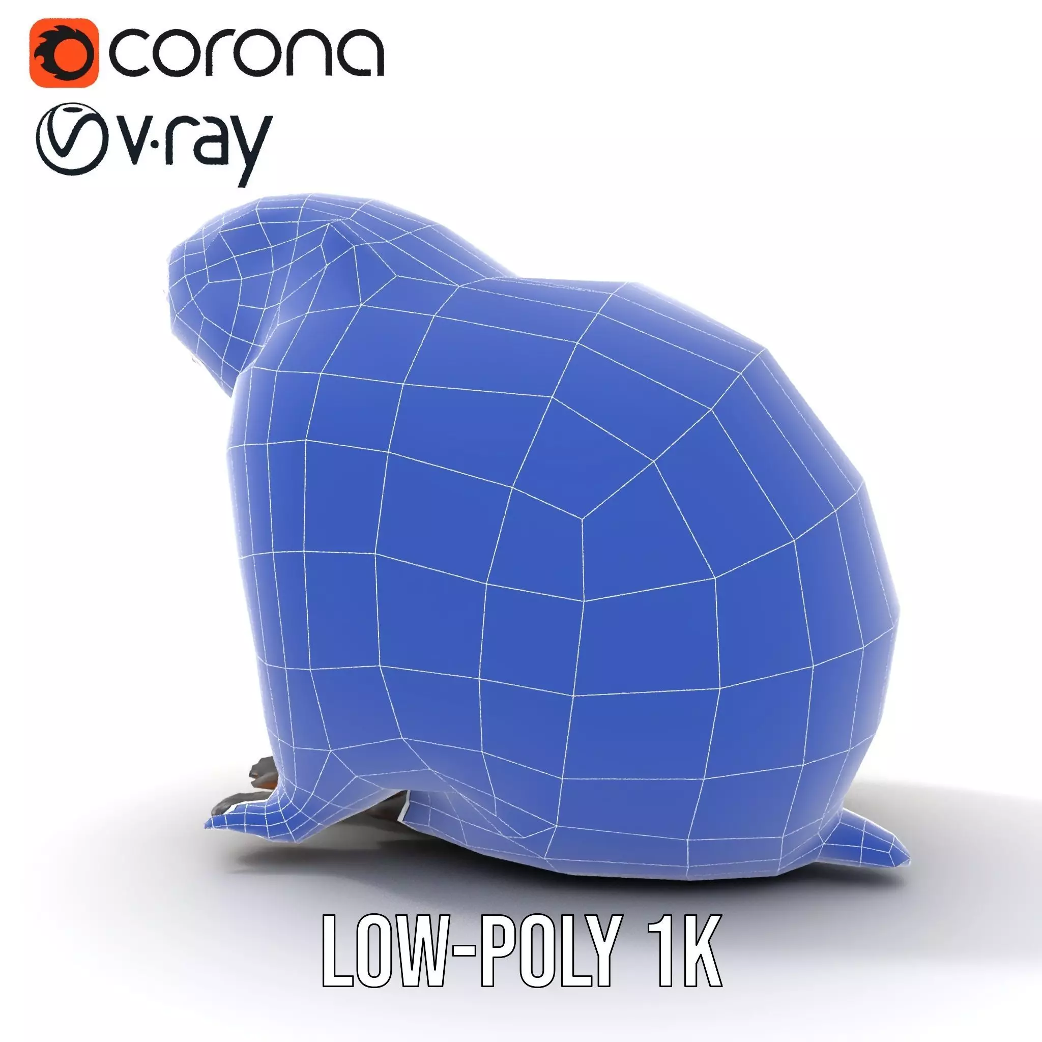 Realistic Gray Marmot model pack Low-poly 3D model_9