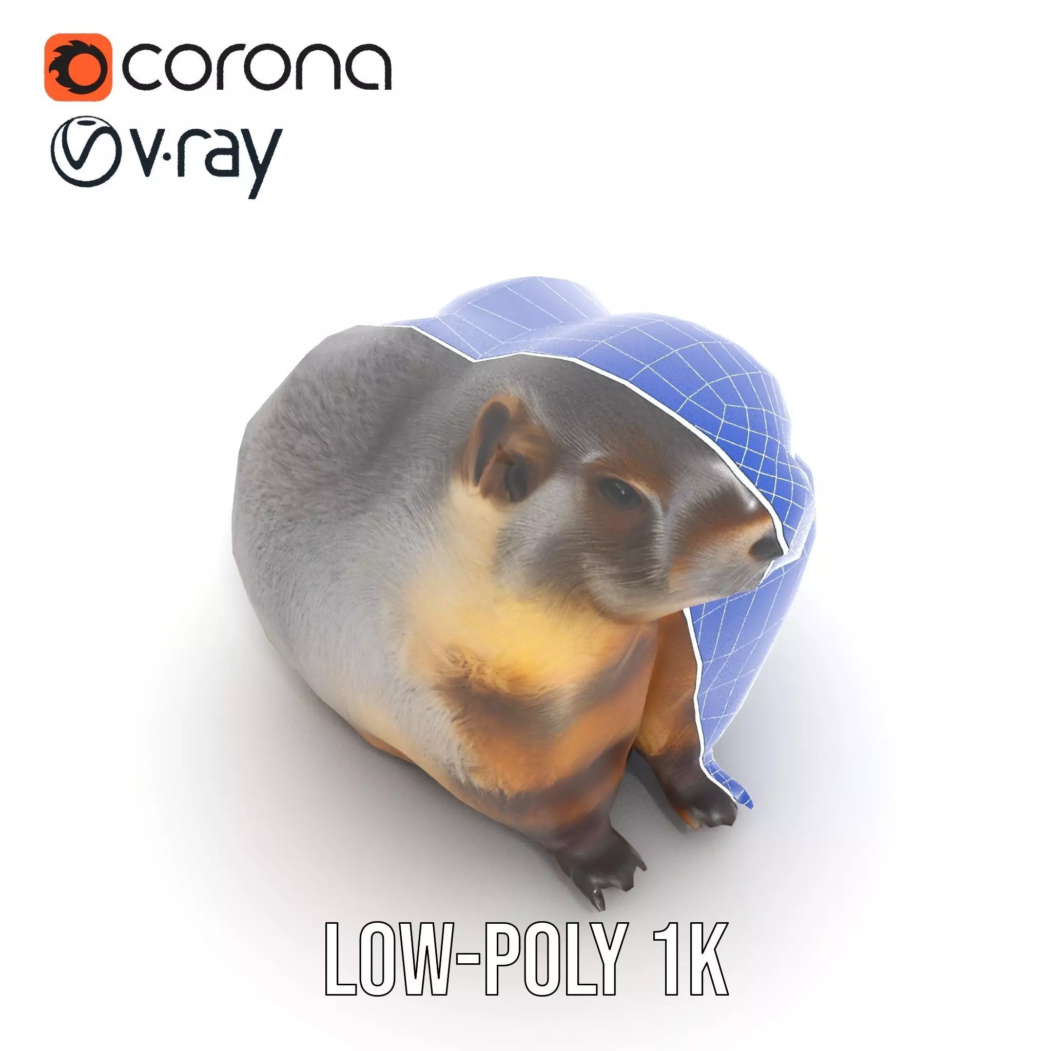 Realistic Gray Marmot model pack Low-poly 3D model_25