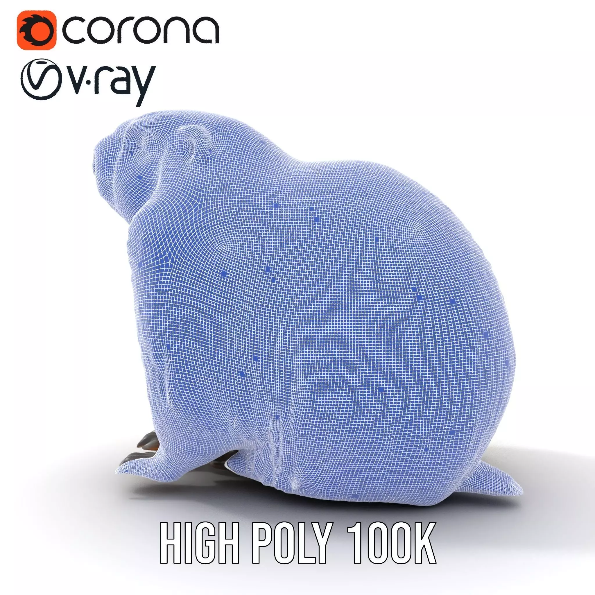 Realistic Gray Marmot model pack Low-poly 3D model_34