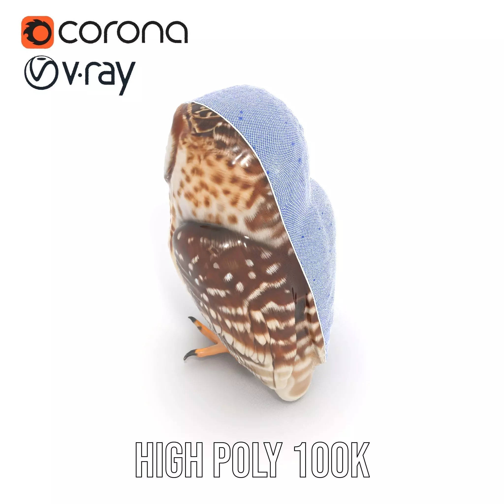 Spotted Owl Figurine model pack Low-poly 3D model_33