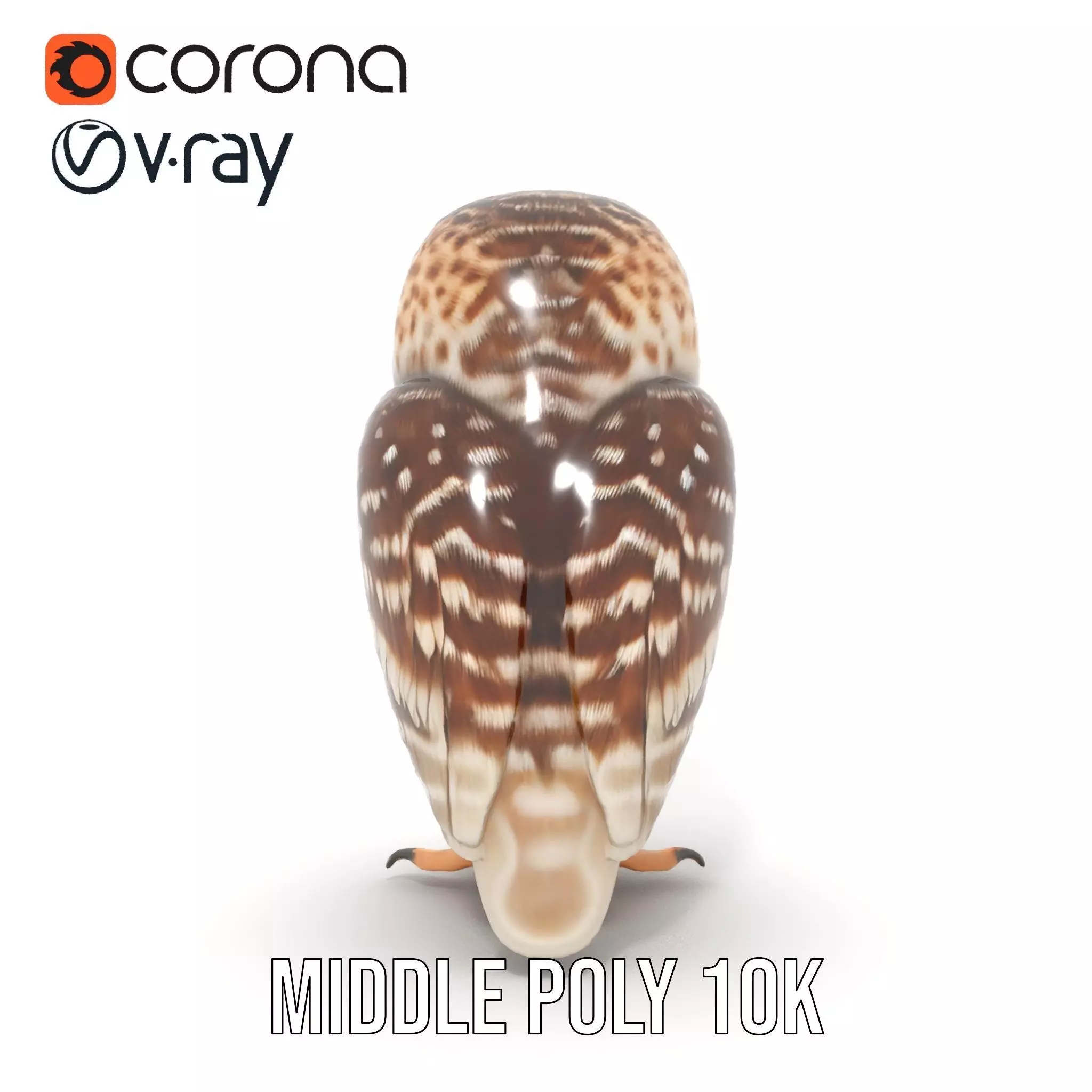 Spotted Owl Figurine model pack Low-poly 3D model_18