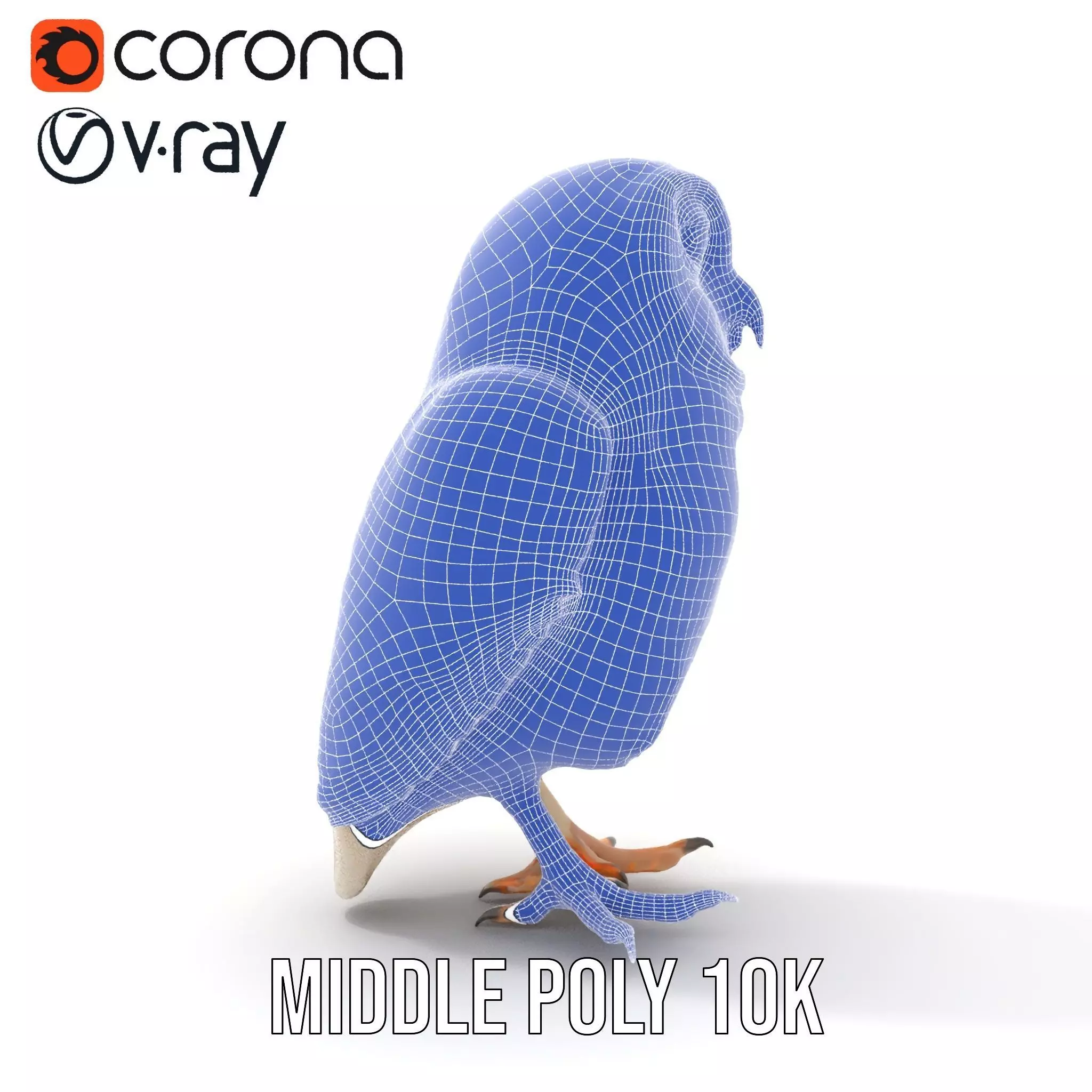 Spotted Owl Figurine model pack Low-poly 3D model_27