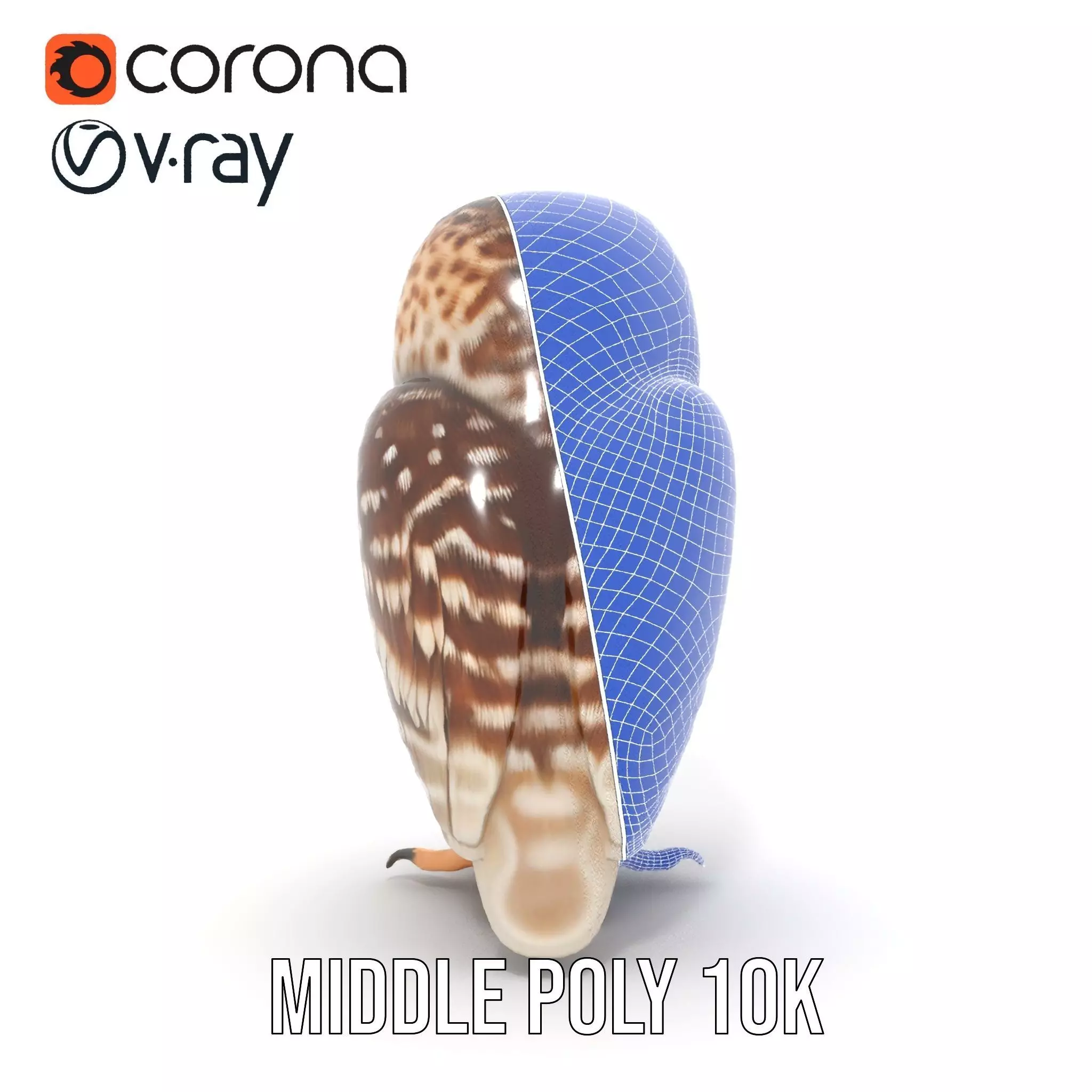 Spotted Owl Figurine model pack Low-poly 3D model_24